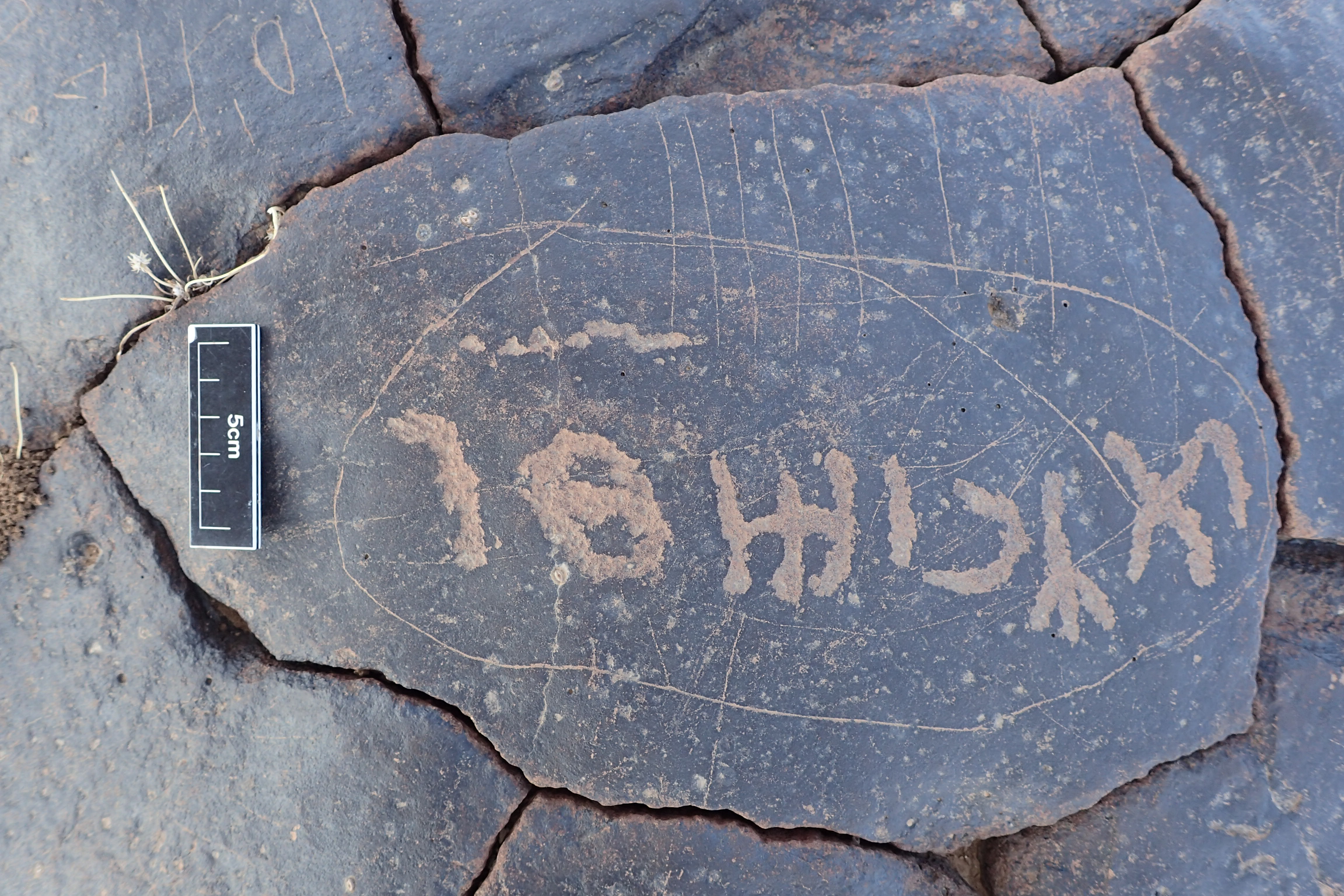 Image of siglum BES20 1312