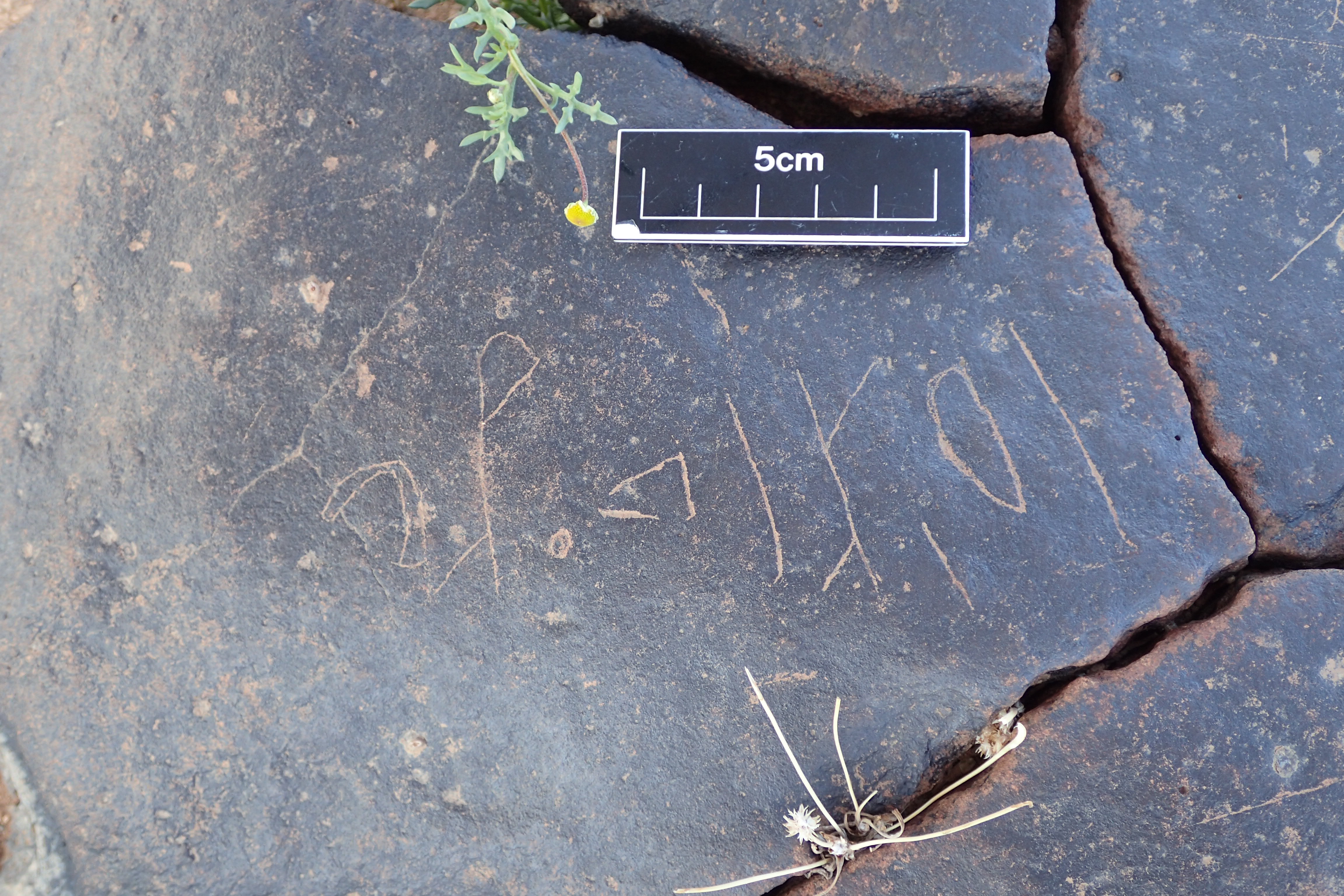 Image of siglum BES20 1313