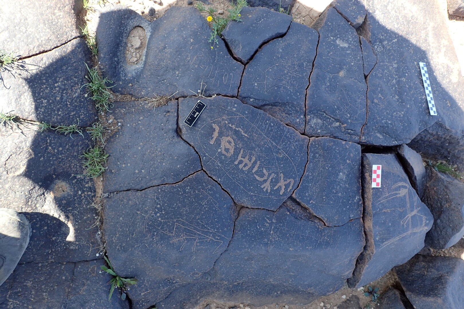 Image of siglum BES20 1313