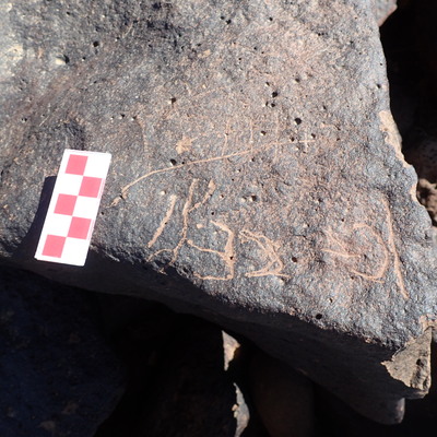 Image of siglum BES20 1321