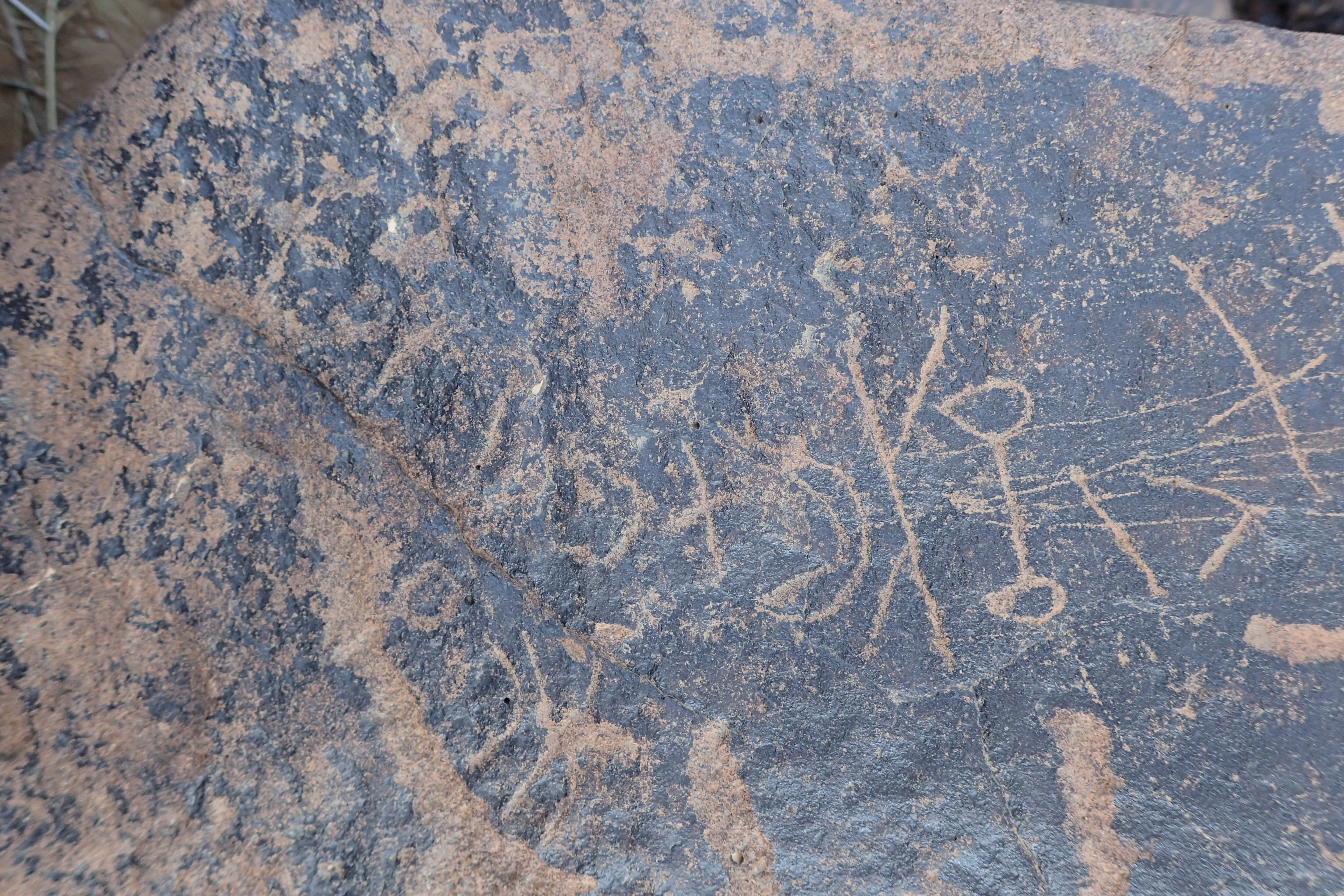 Image of siglum BES20 1329