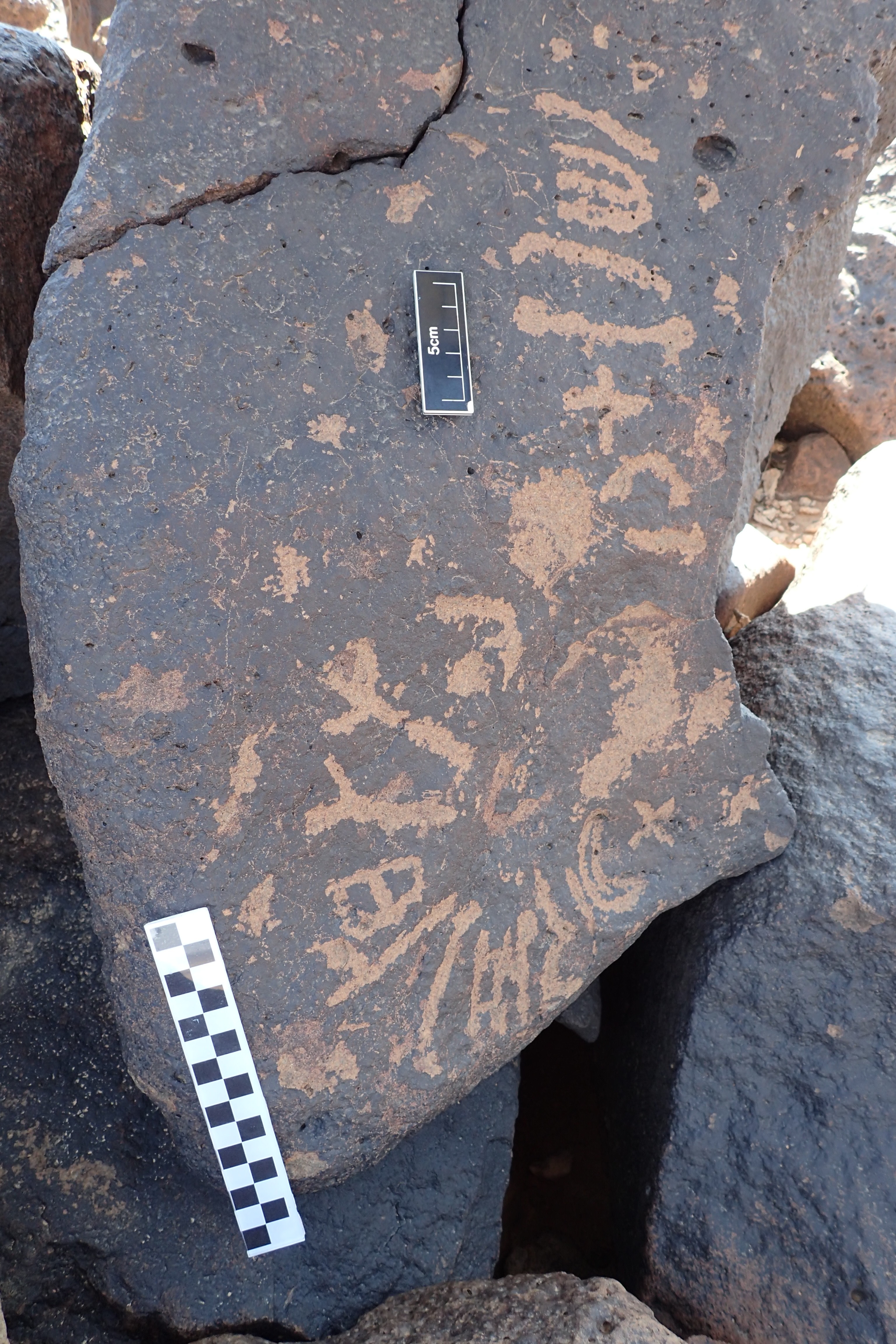 Image of siglum BES20 1335