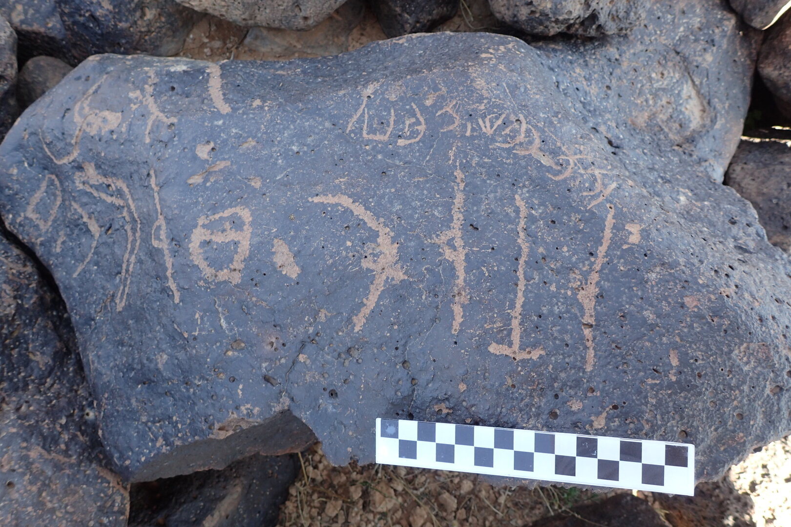 Image of siglum BES20 1336