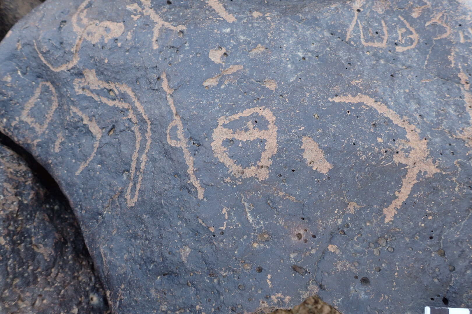 Image of siglum BES20 1336