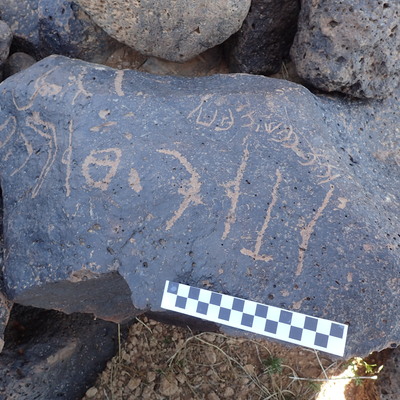 Image of siglum BES20 1337