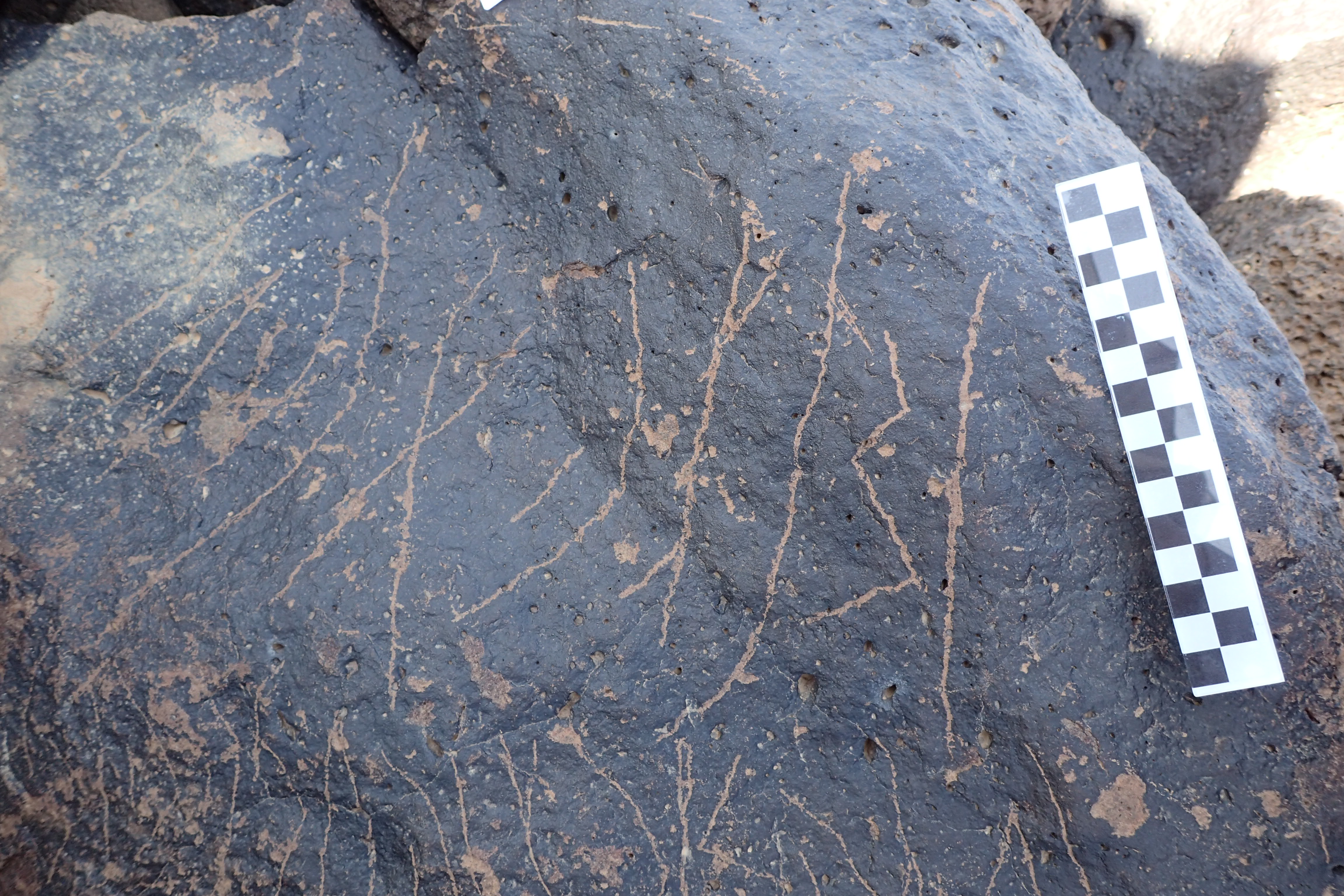 Image of siglum BES20 1338