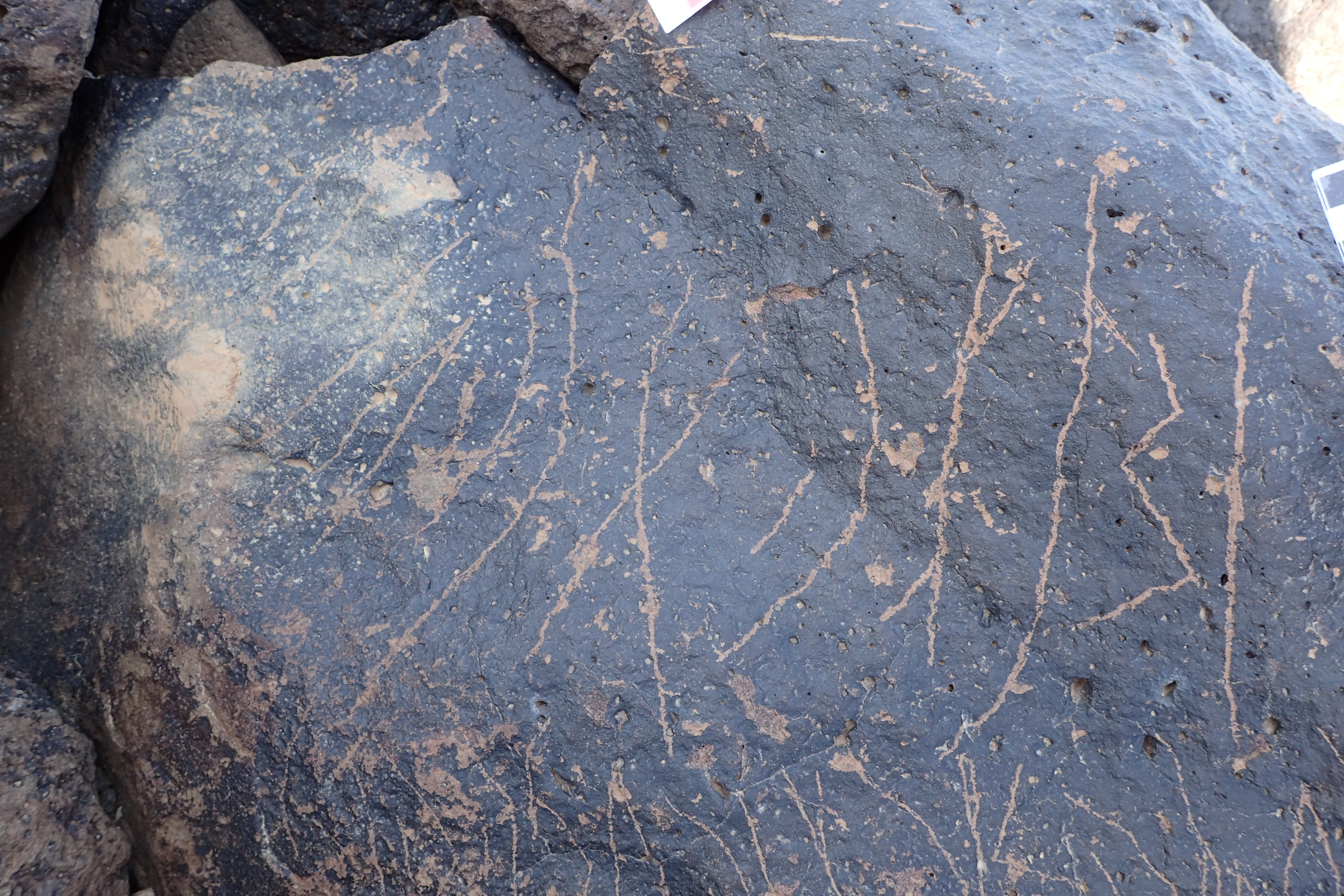 Image of siglum BES20 1338