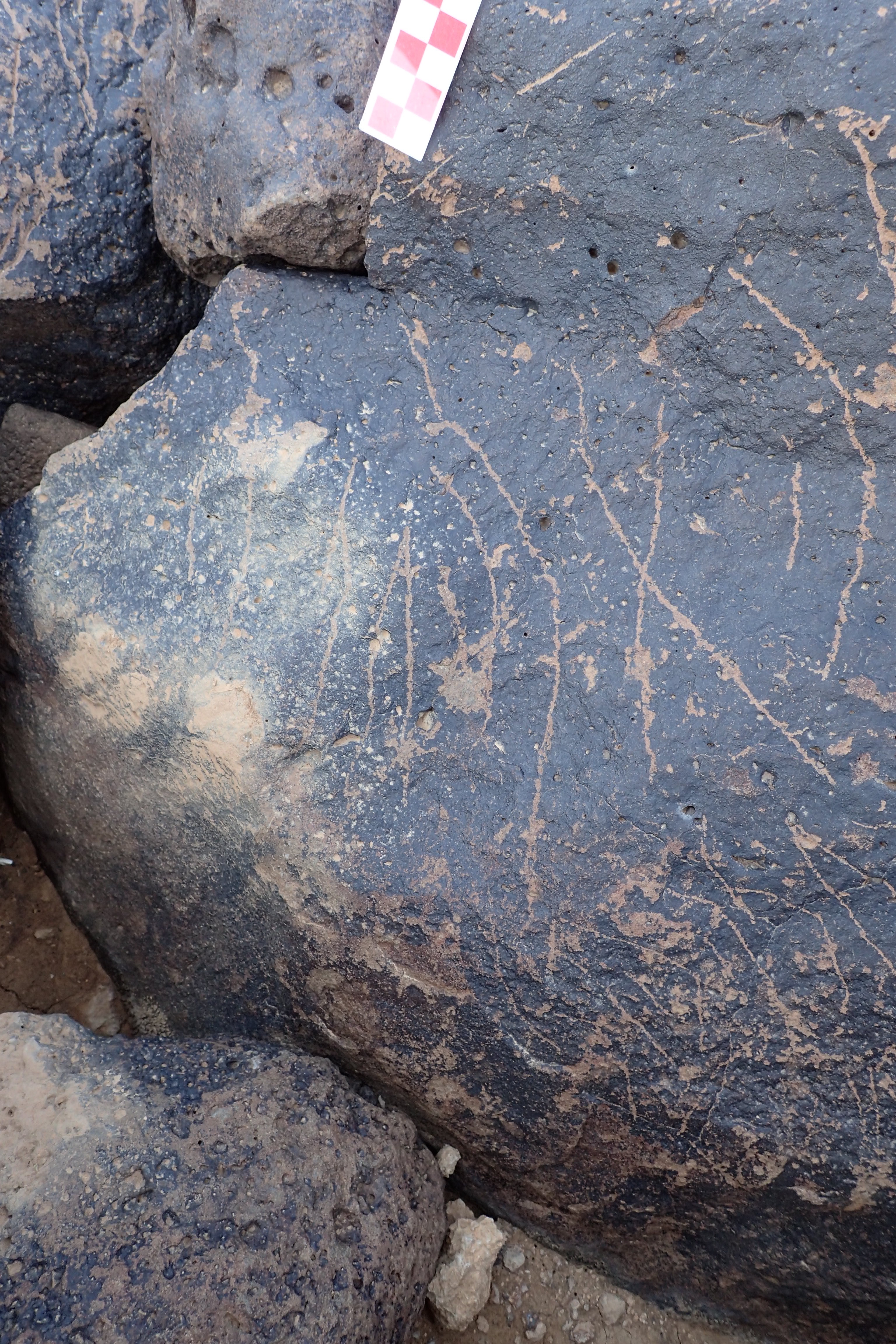 Image of siglum BES20 1338