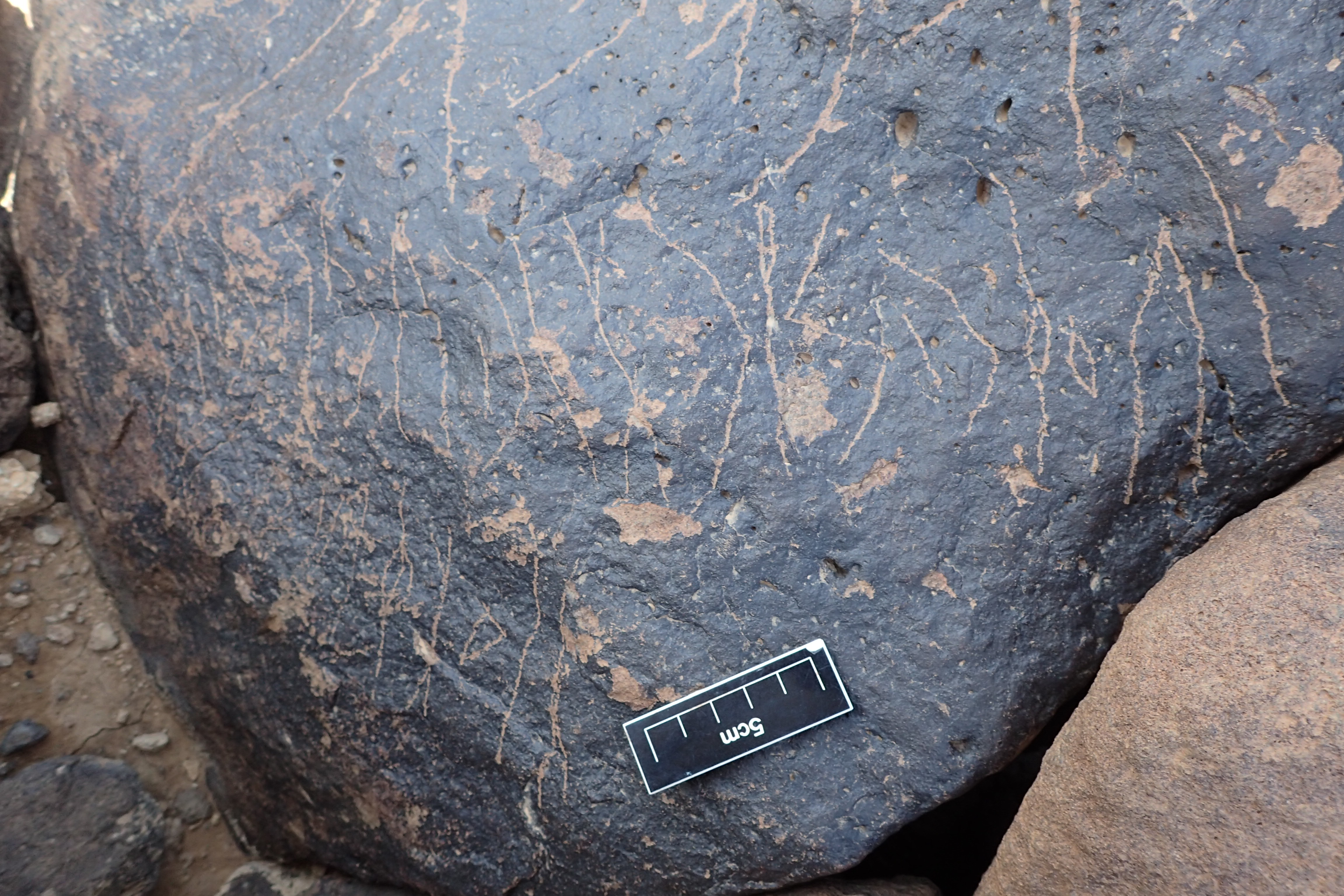 Image of siglum BES20 1338