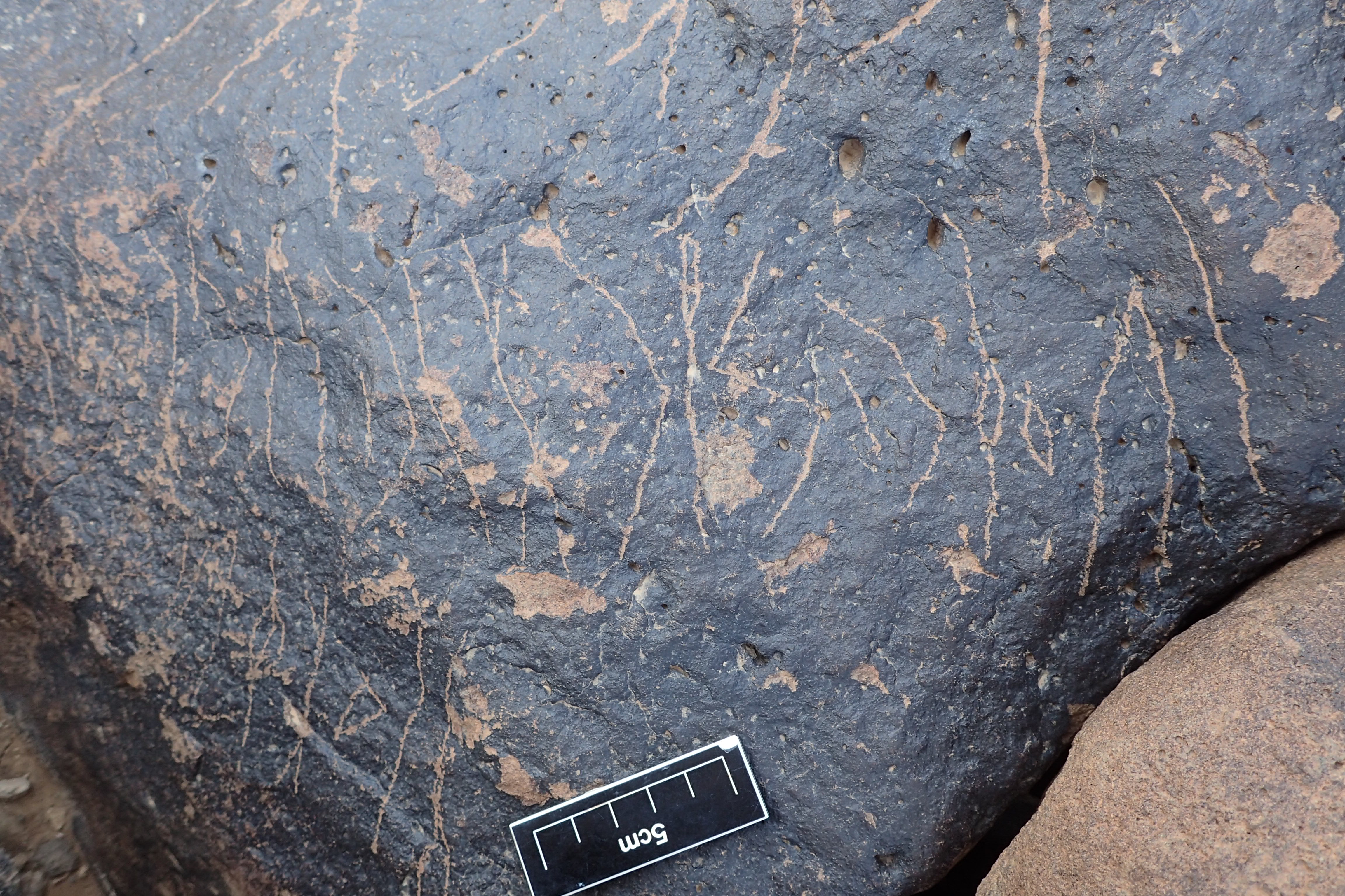 Image of siglum BES20 1338