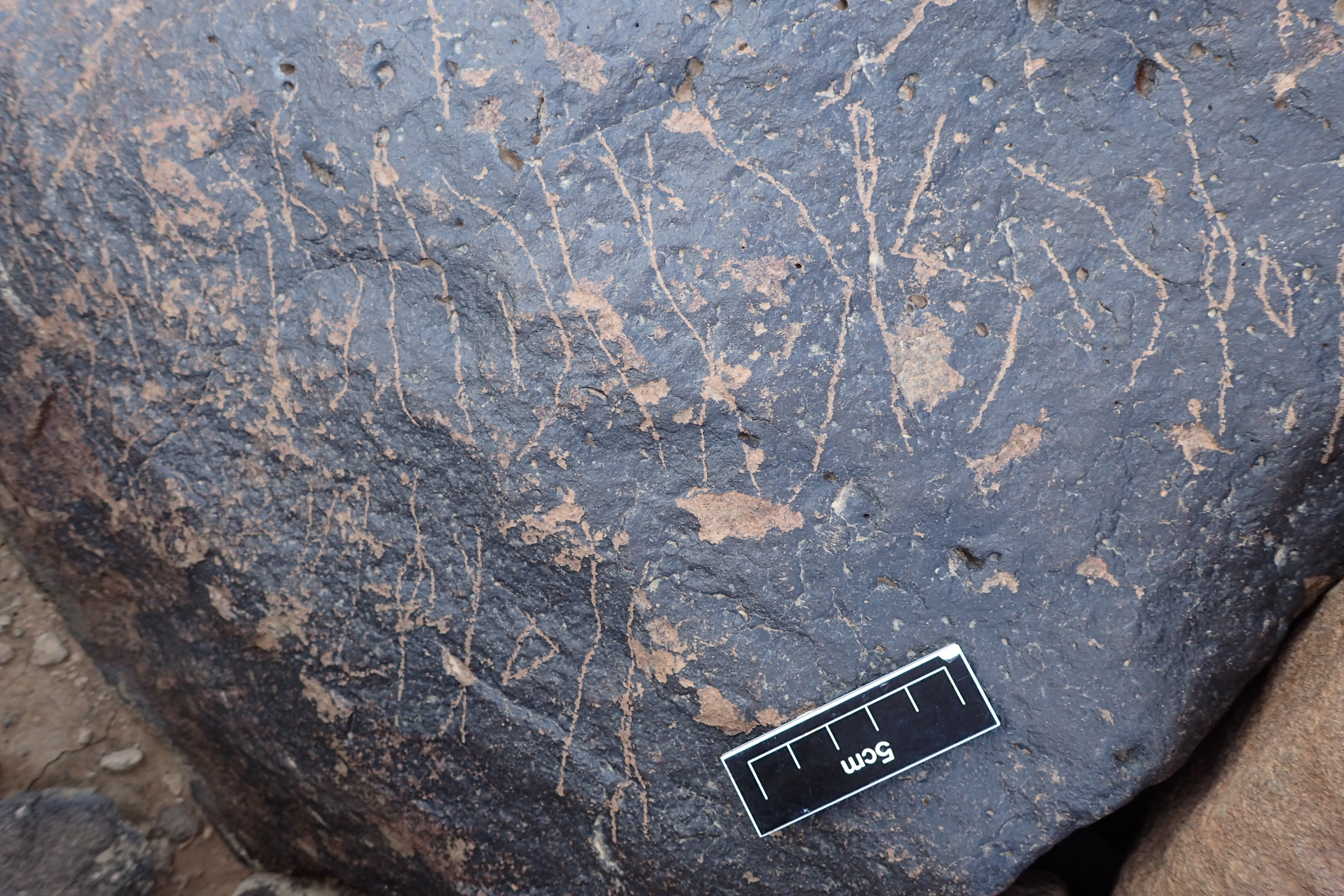 Image of siglum BES20 1338