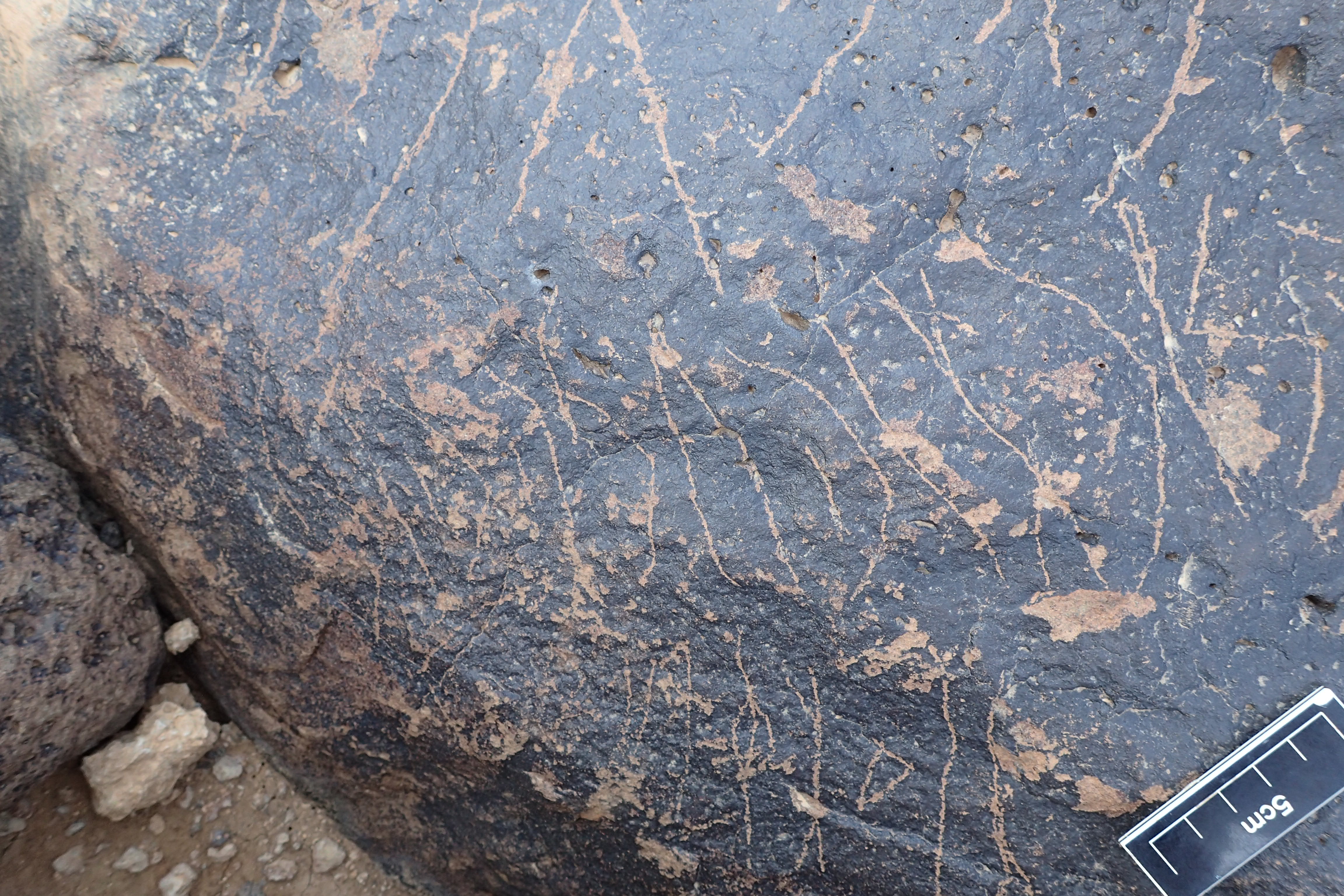 Image of siglum BES20 1338