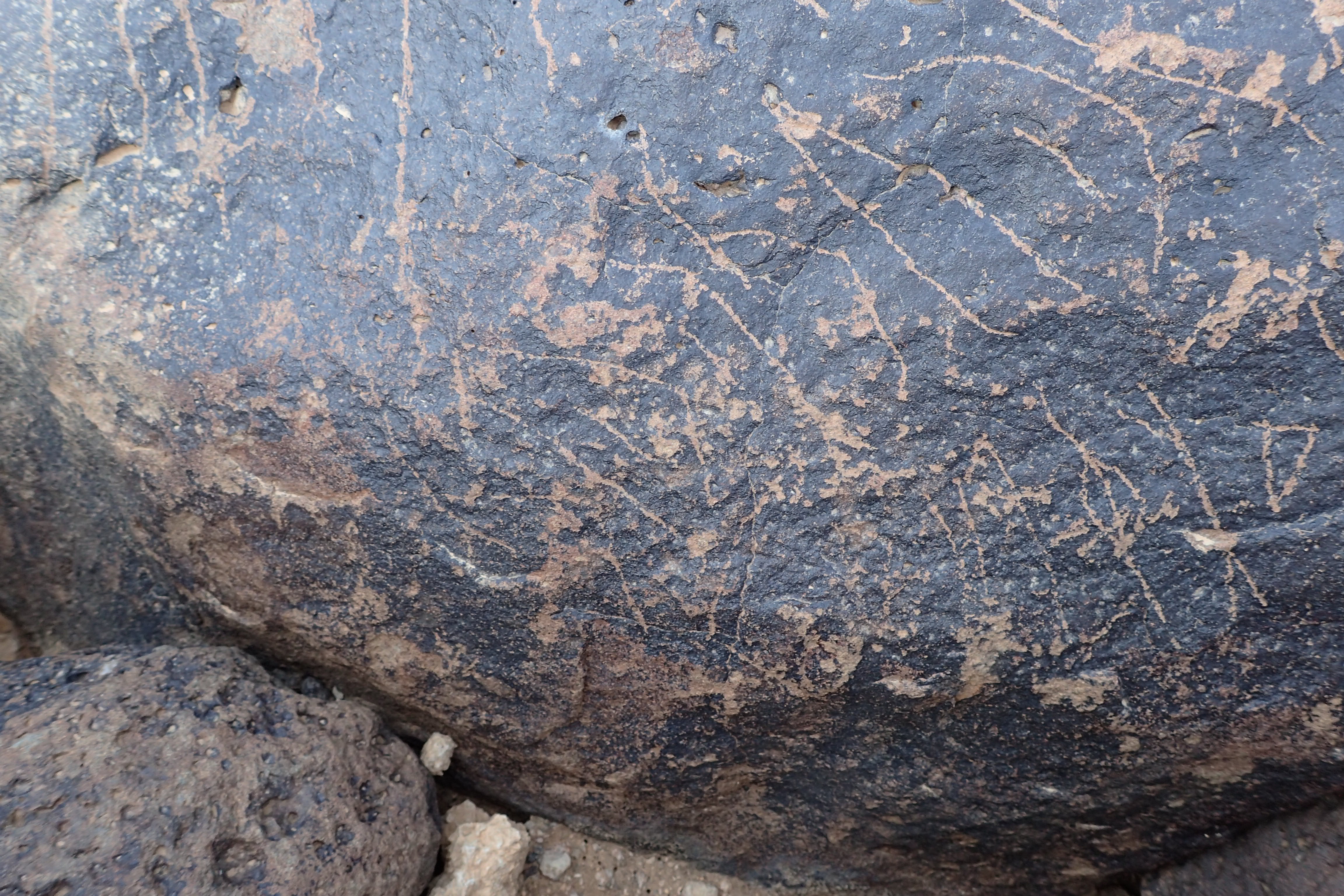 Image of siglum BES20 1338