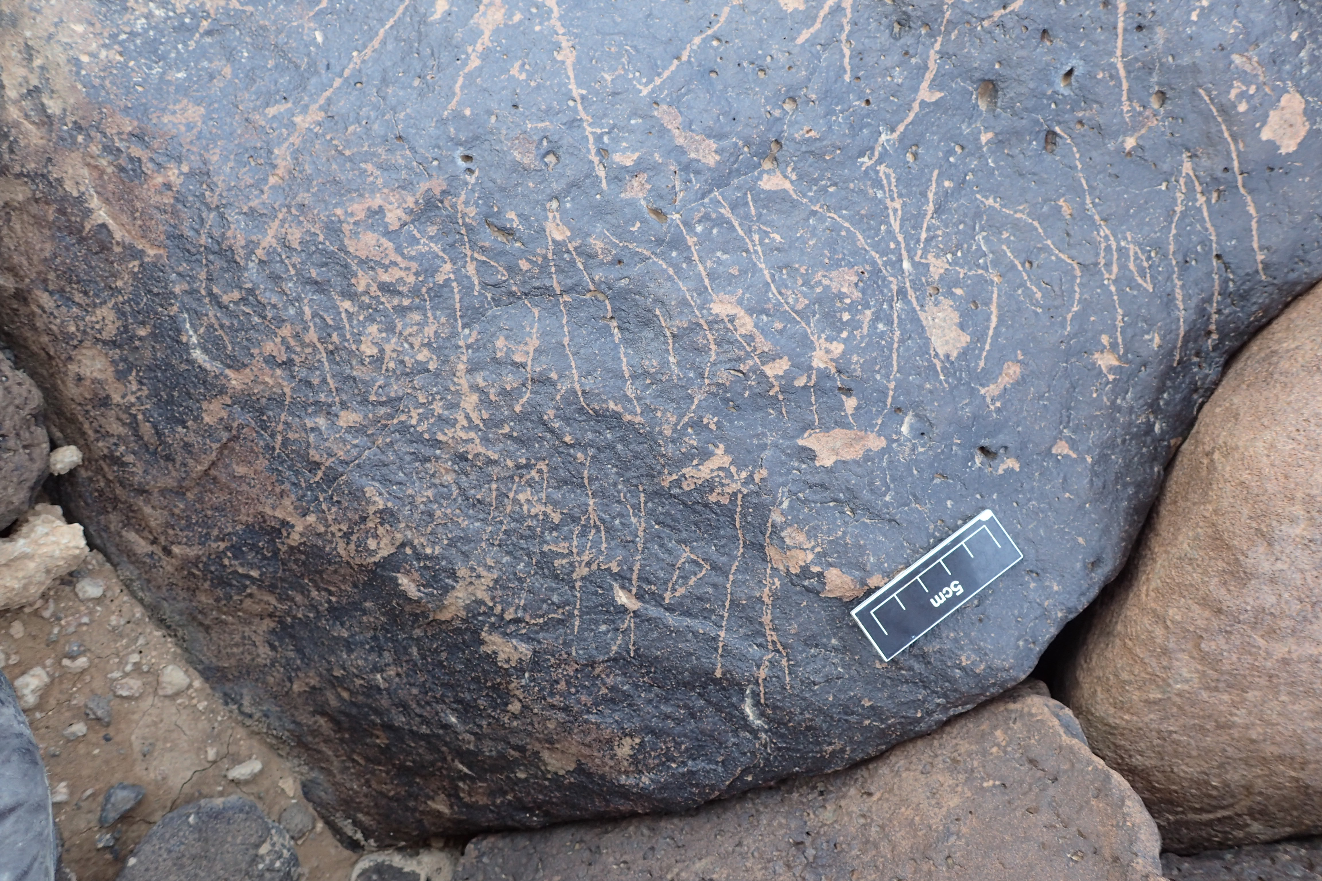 Image of siglum BES20 1338