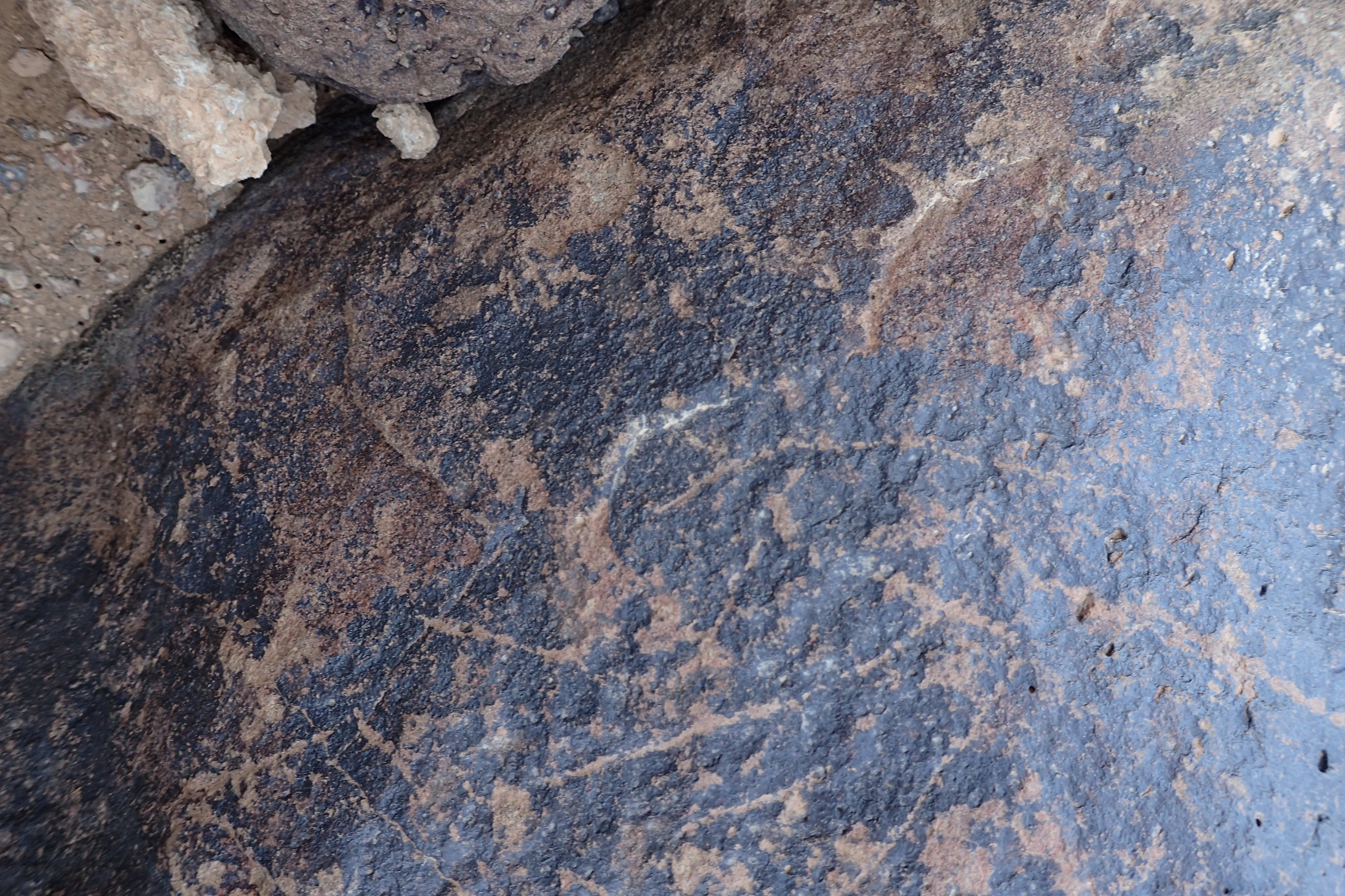 Image of siglum BES20 1338