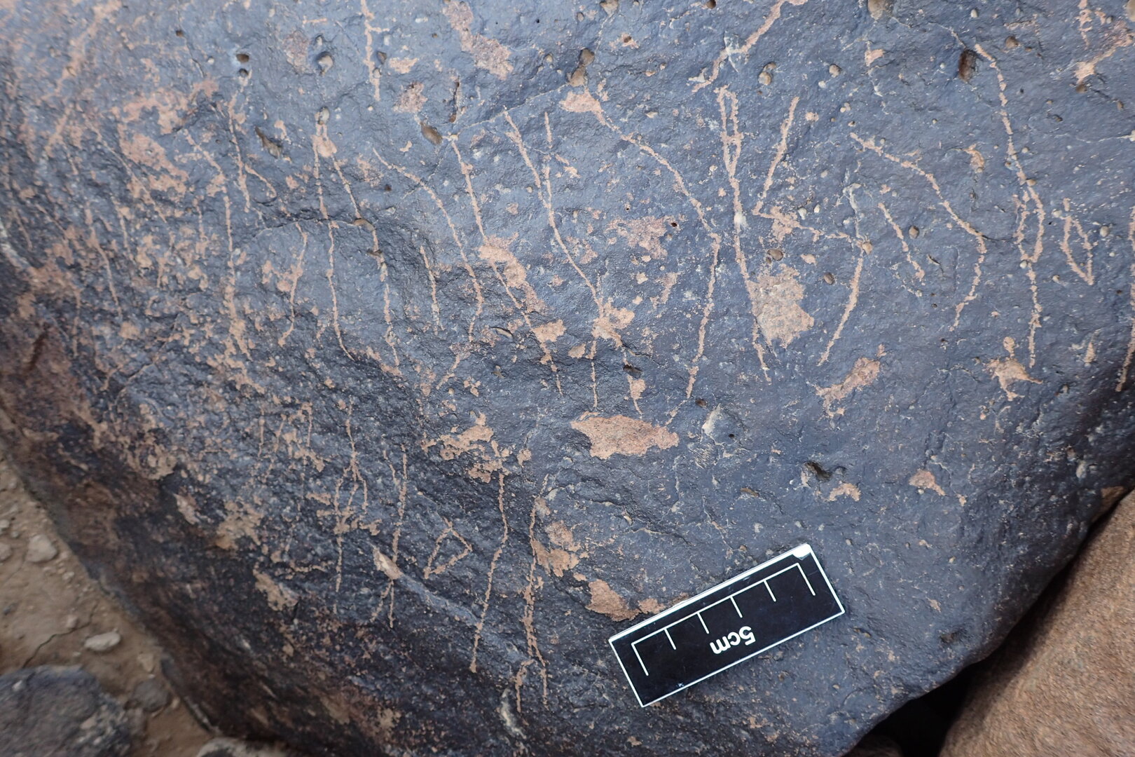 Image of siglum BES20 1338