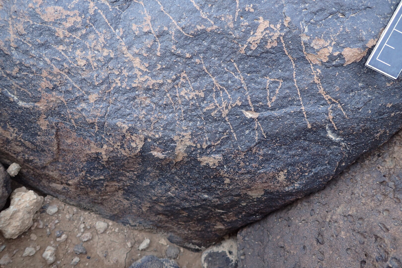 Image of siglum BES20 1338