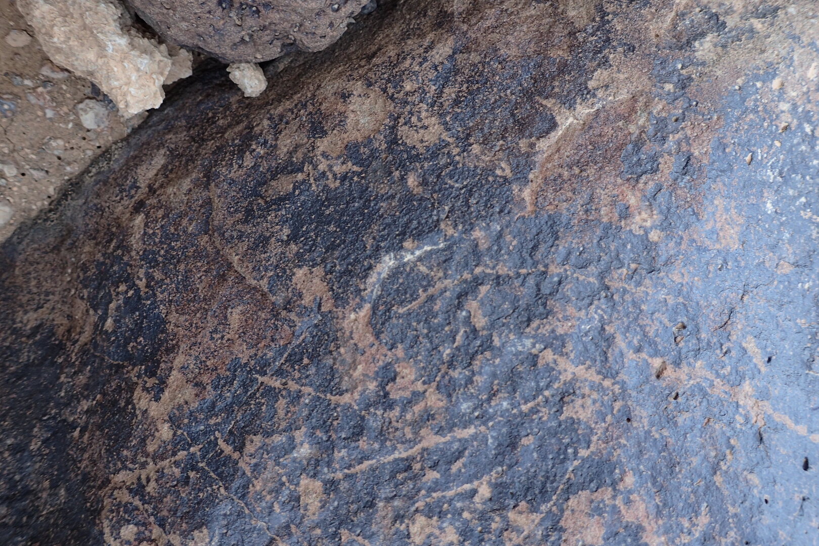 Image of siglum BES20 1338