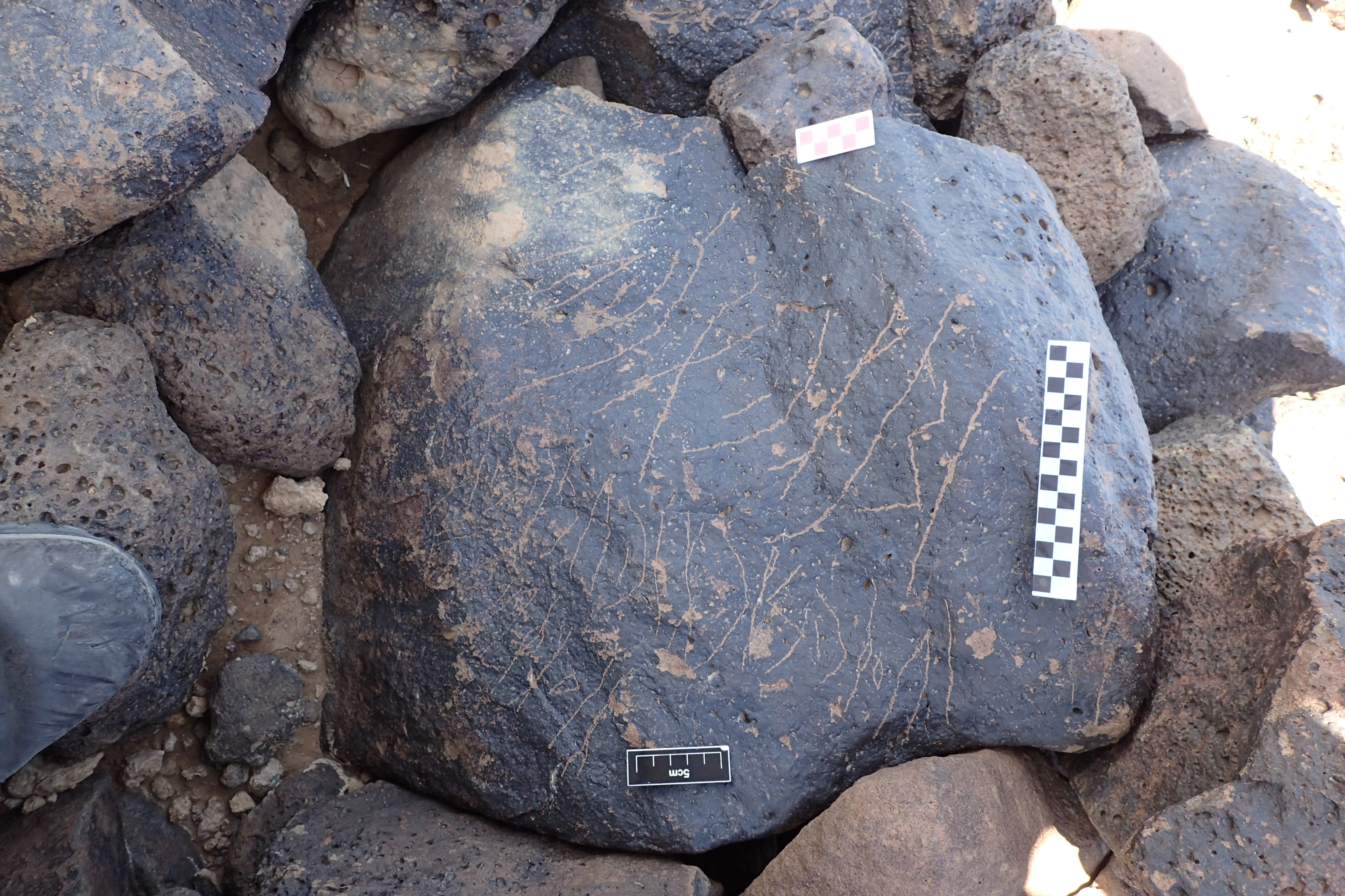 Image of siglum BES20 1339