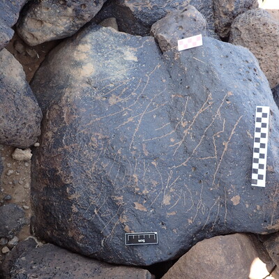 Image of siglum BES20 1339