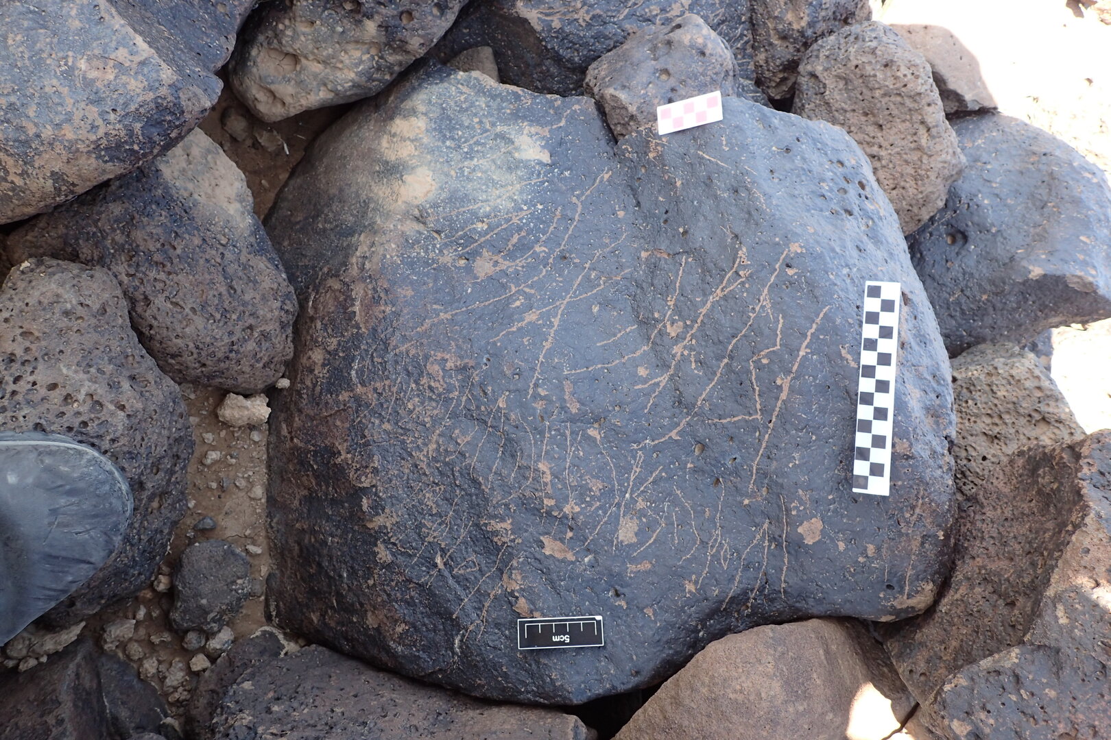 Image of siglum BES20 1339