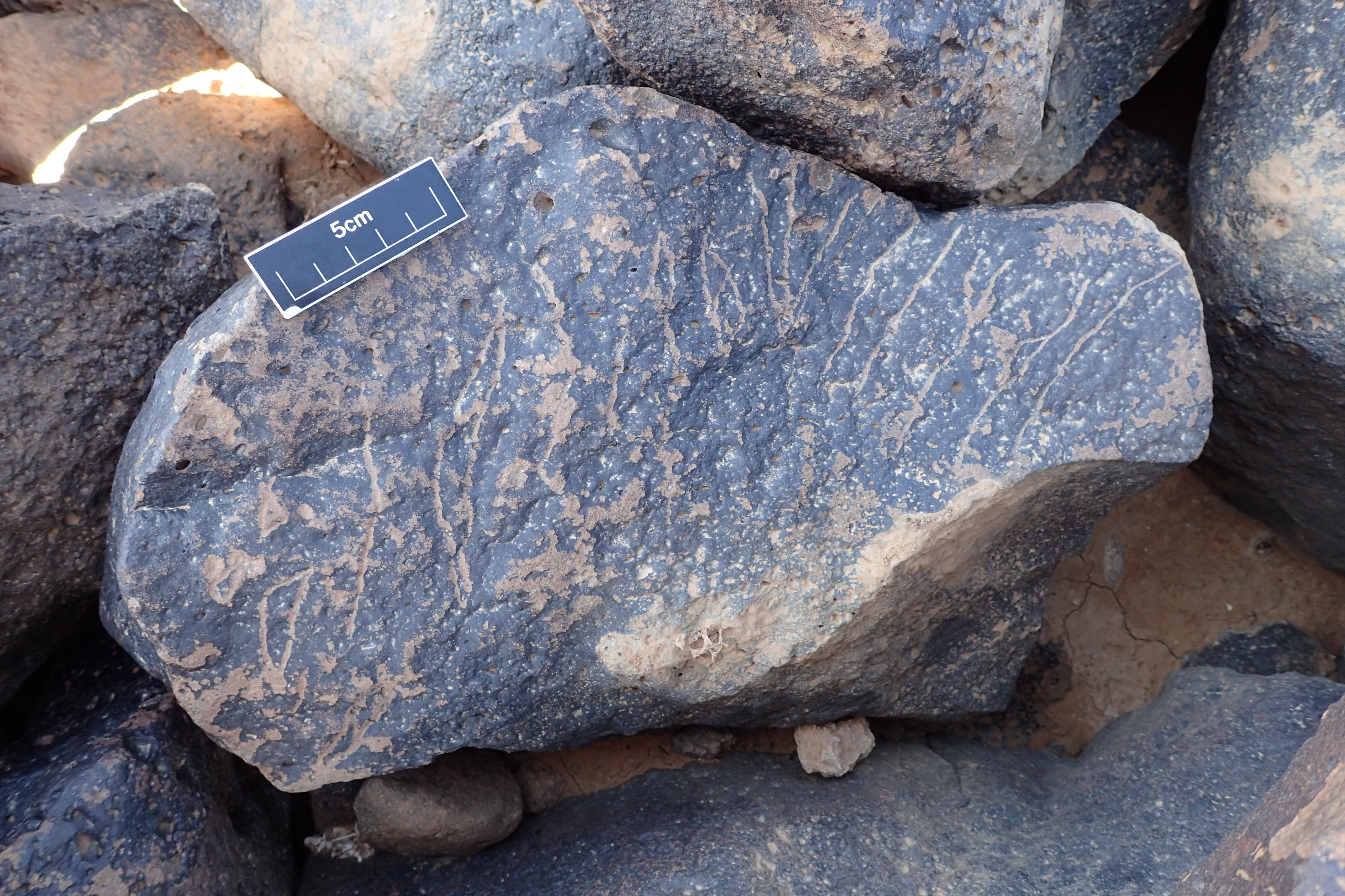 Image of siglum BES20 1340