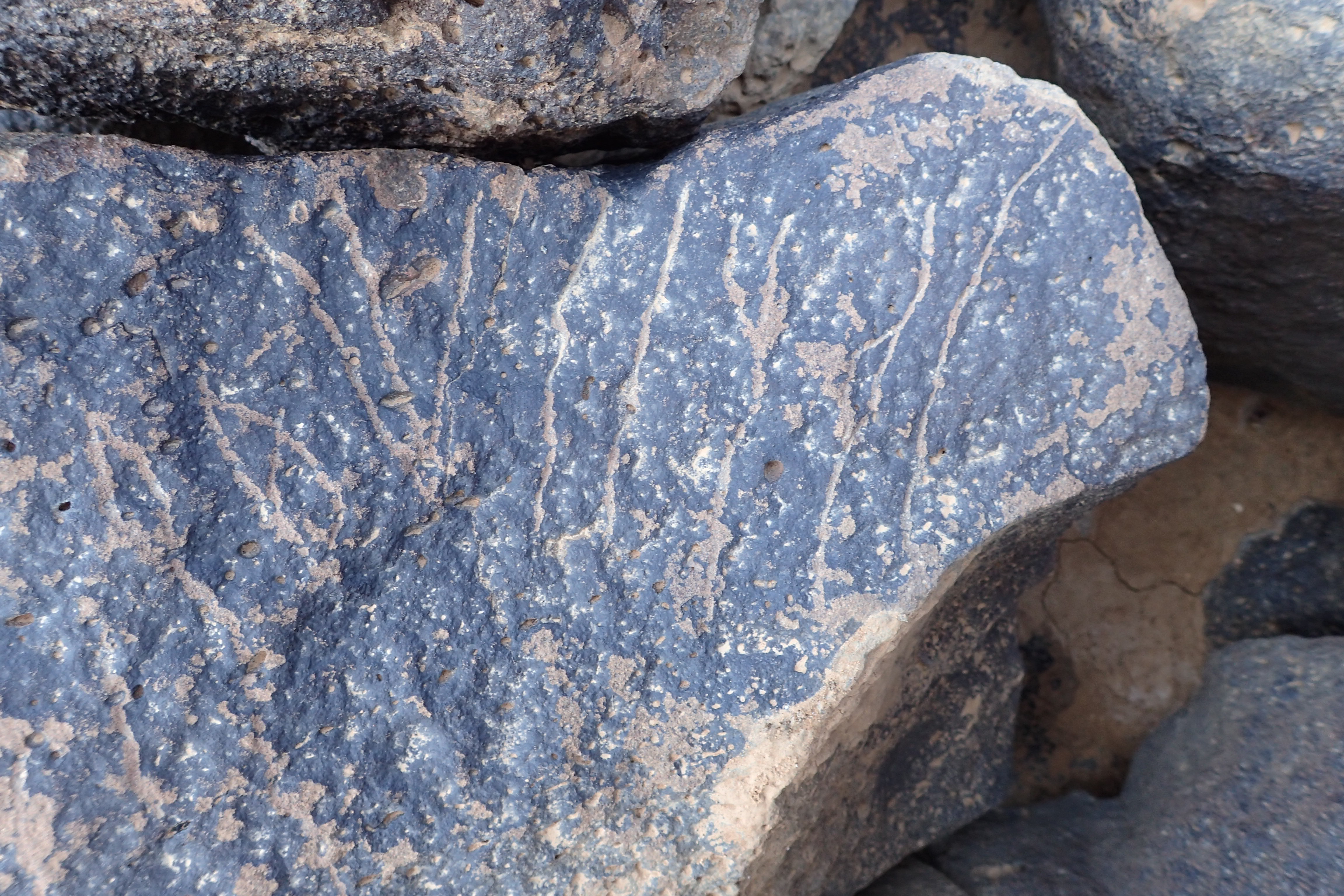 Image of siglum BES20 1340