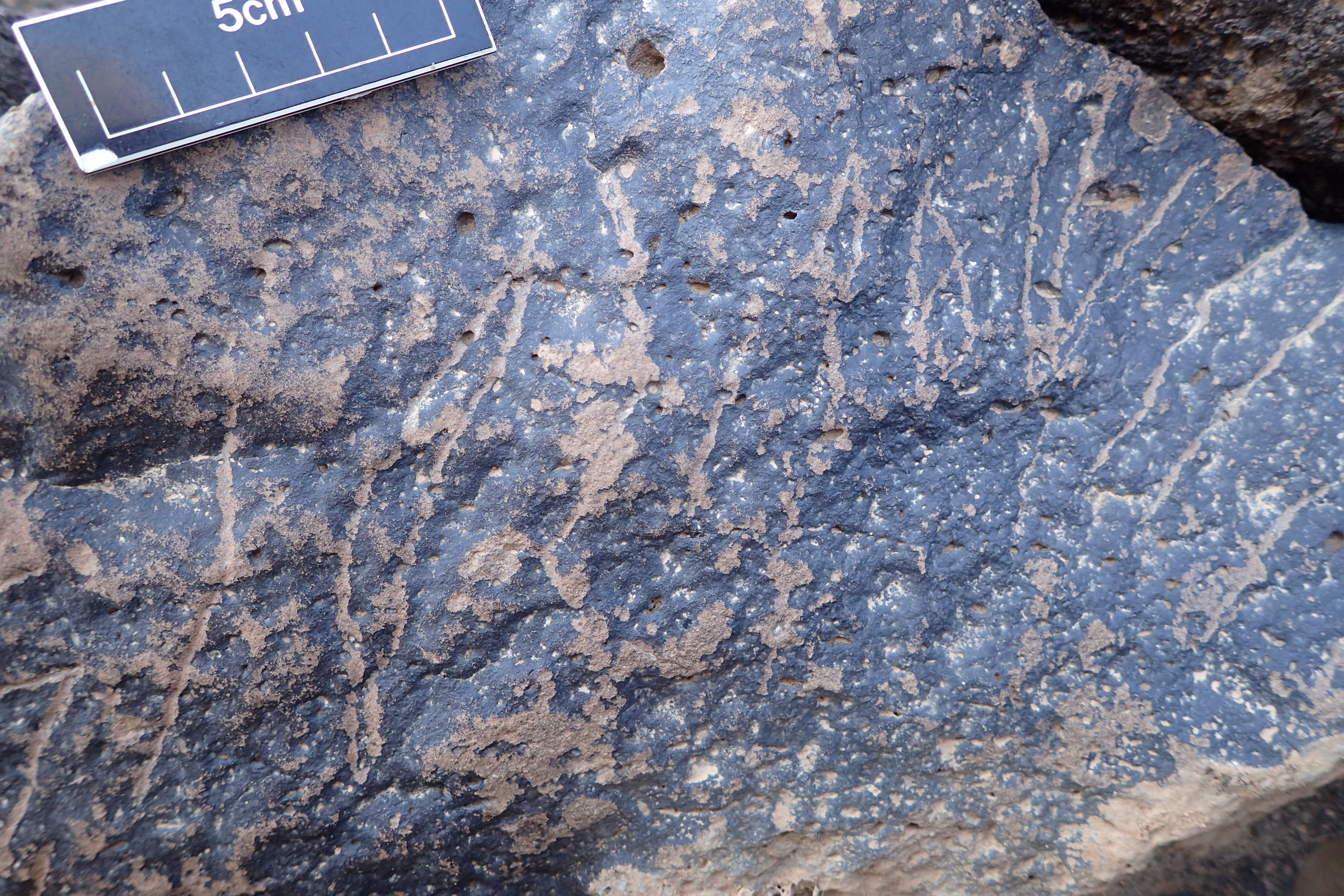 Image of siglum BES20 1340