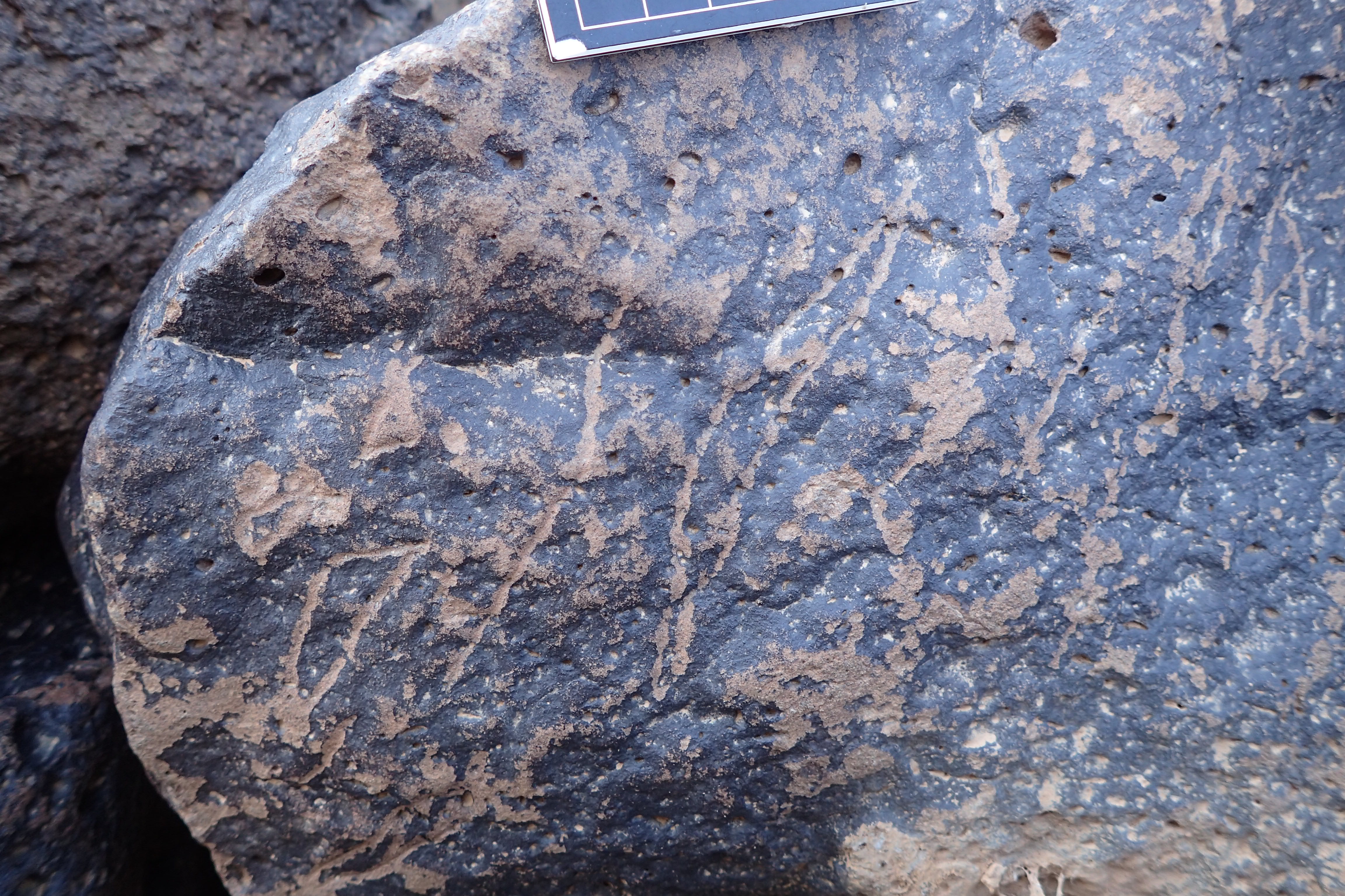 Image of siglum BES20 1340