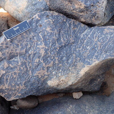 Image of siglum BES20 1340