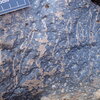 Image of siglum BES20 1340
