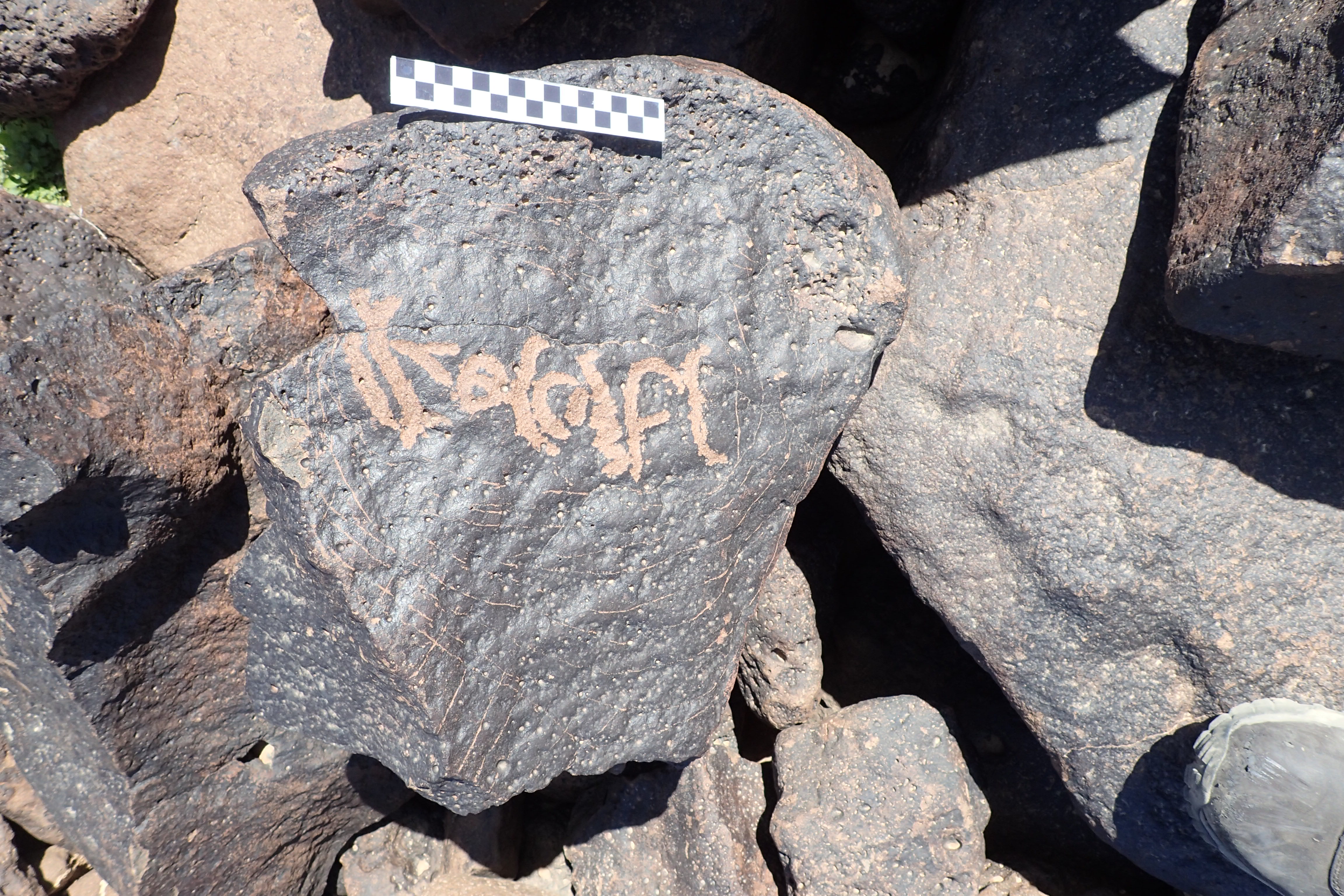 Image of siglum BES20 1342