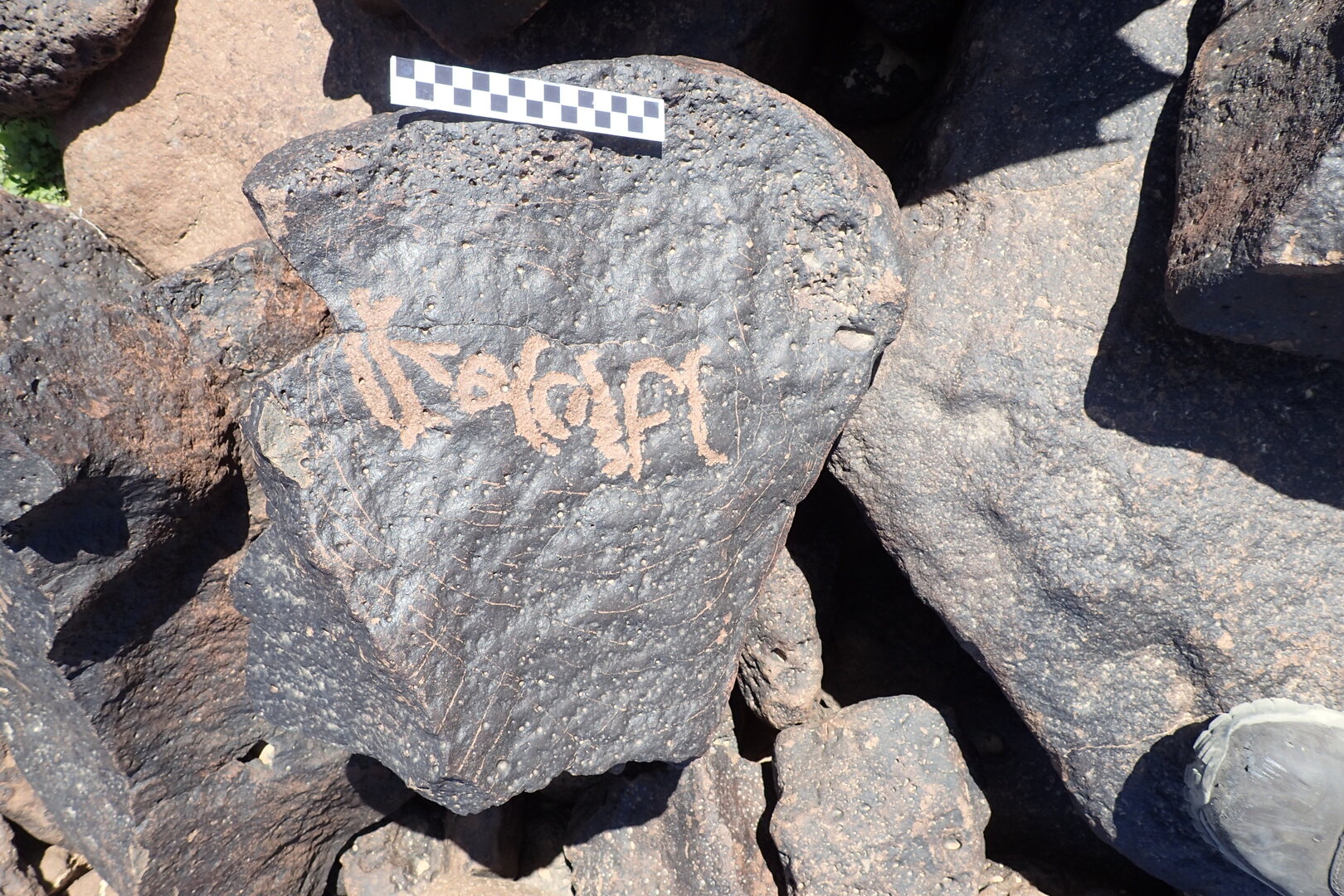 Image of siglum BES20 1342