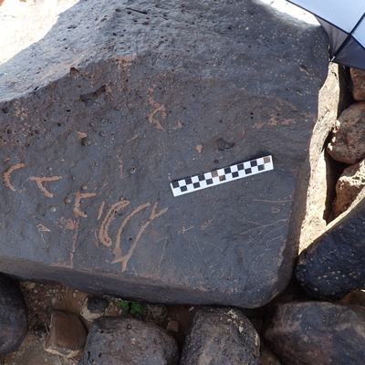 Image of siglum BES20 1345