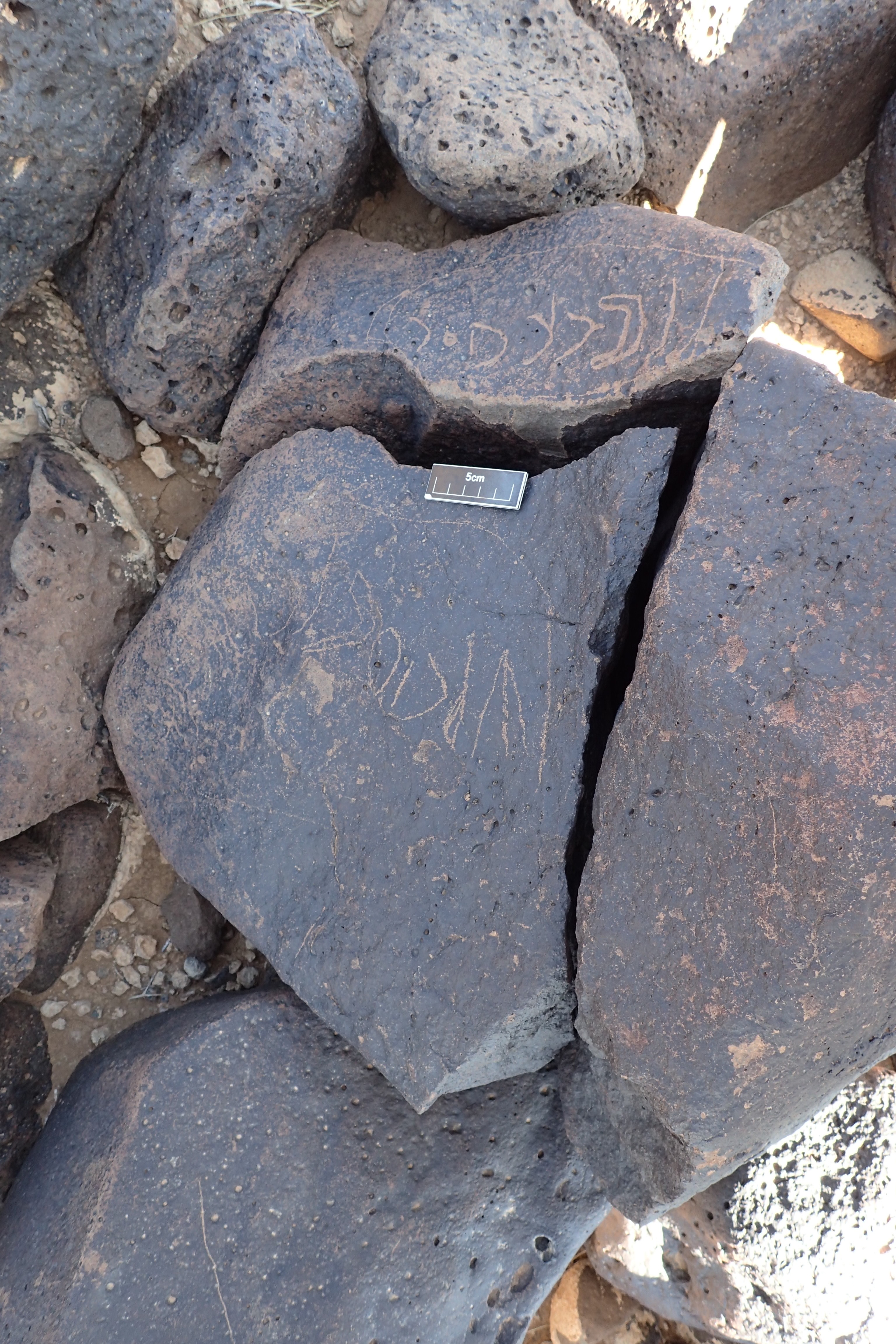 Image of siglum BES20 1346