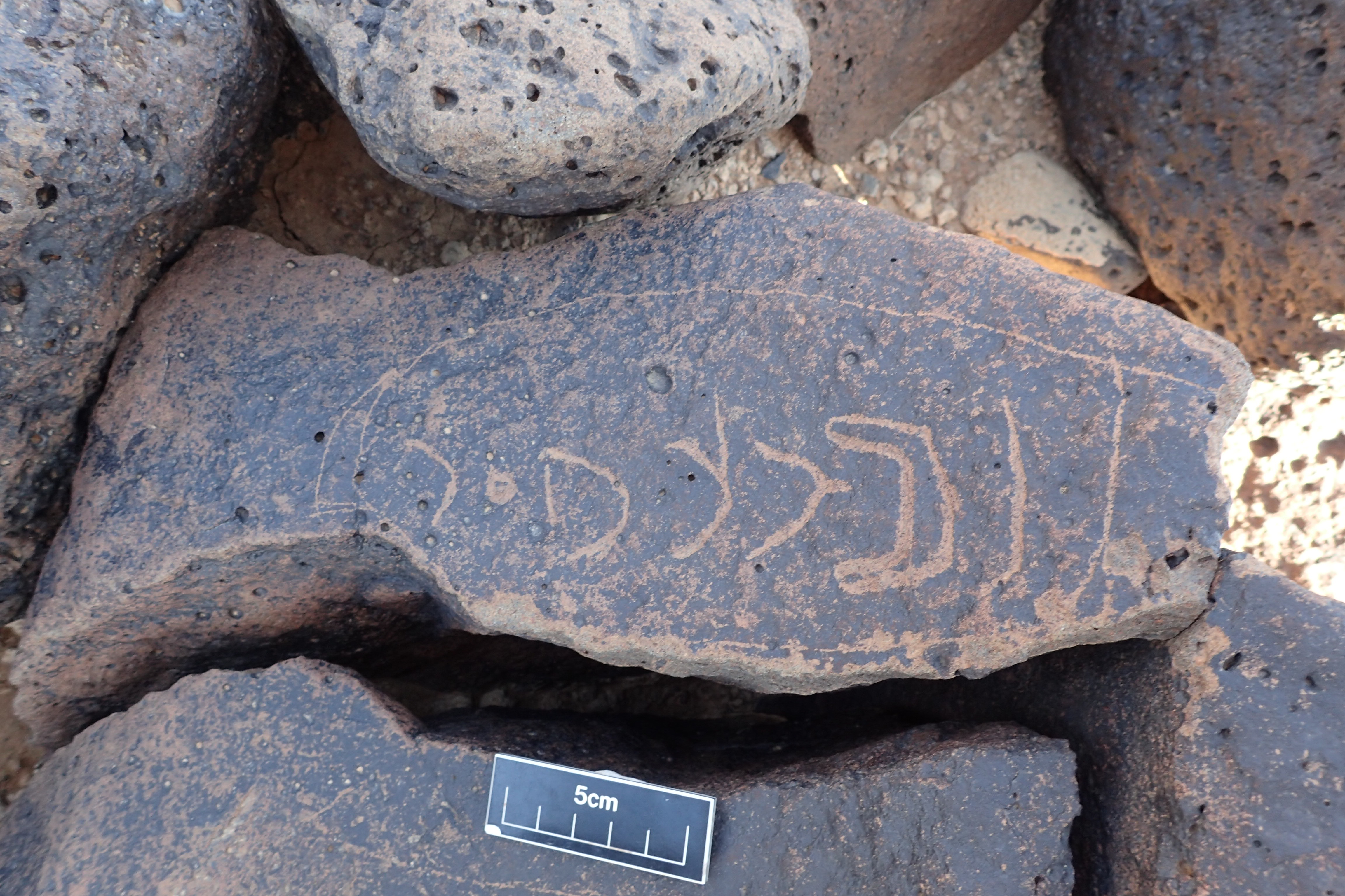 Image of siglum BES20 1346