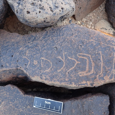 Image of siglum BES20 1346