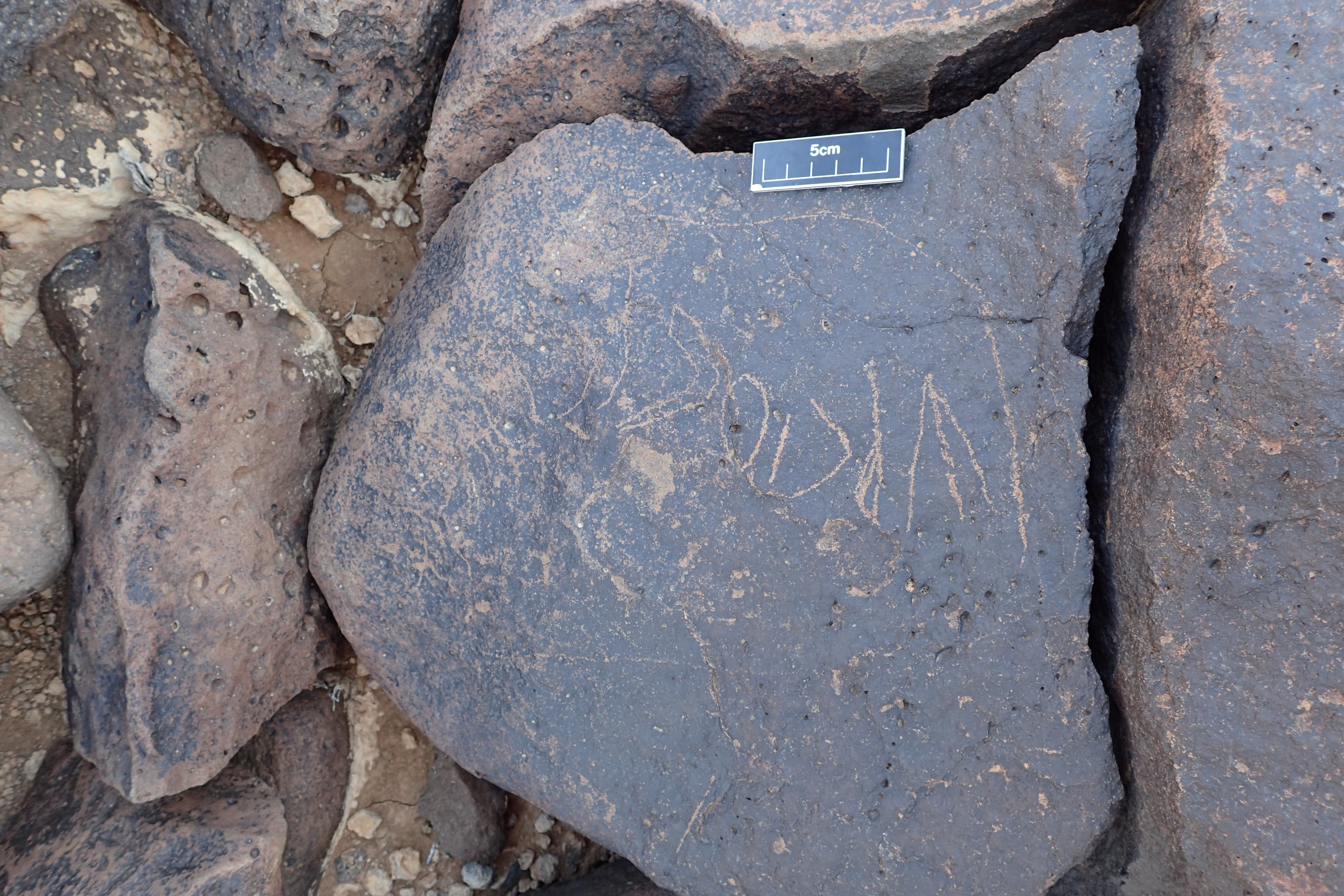 Image of siglum BES20 1347
