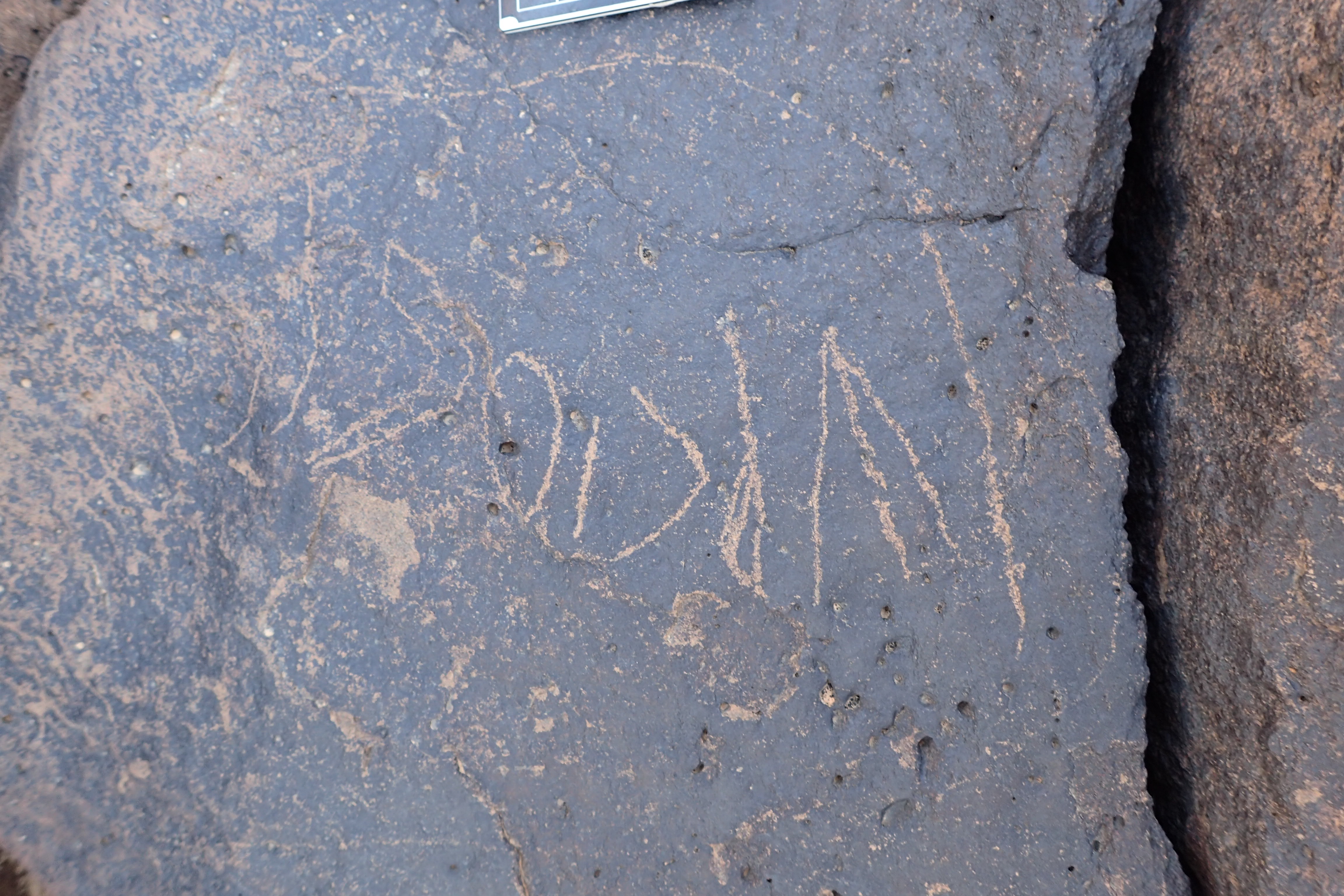 Image of siglum BES20 1347