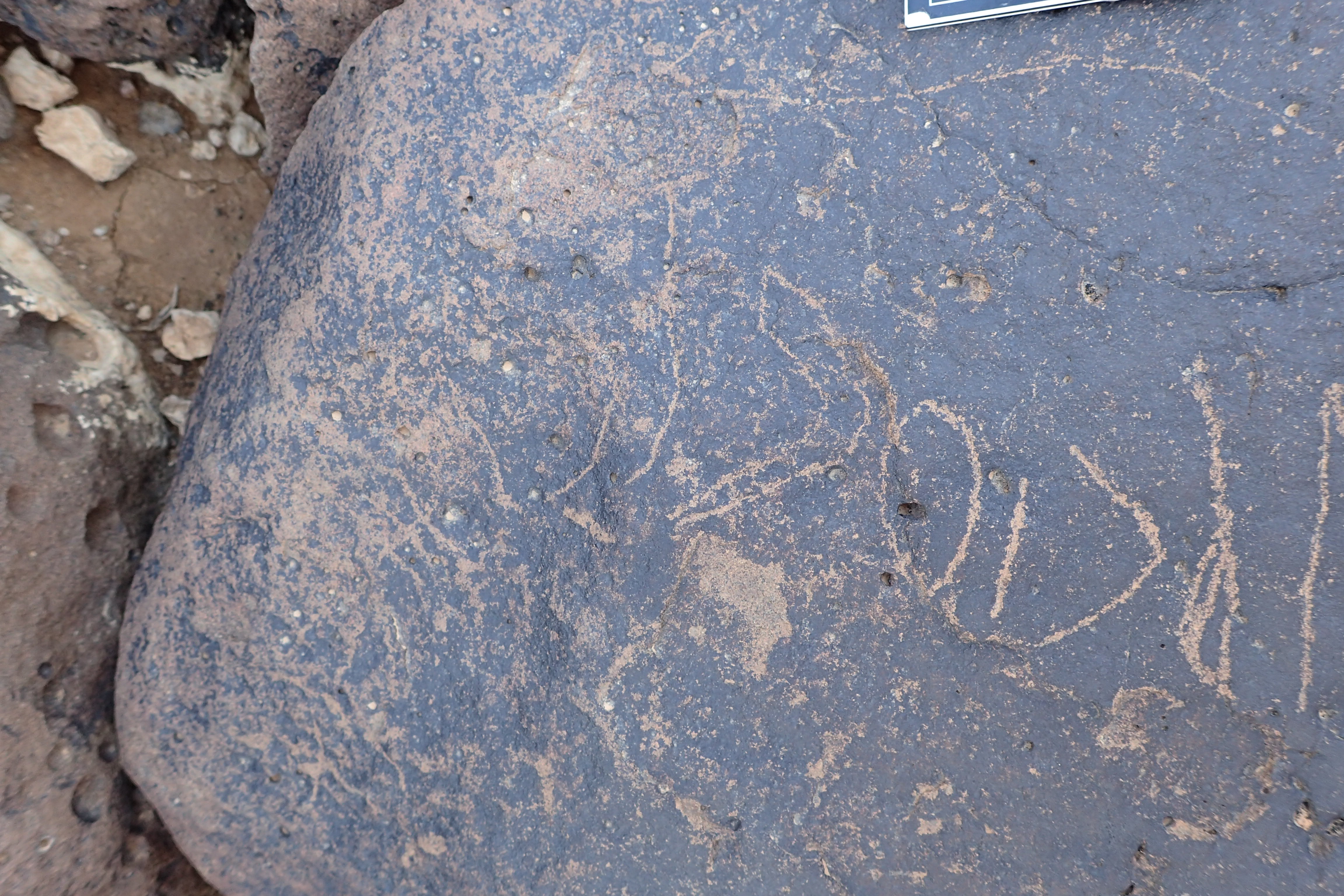Image of siglum BES20 1347