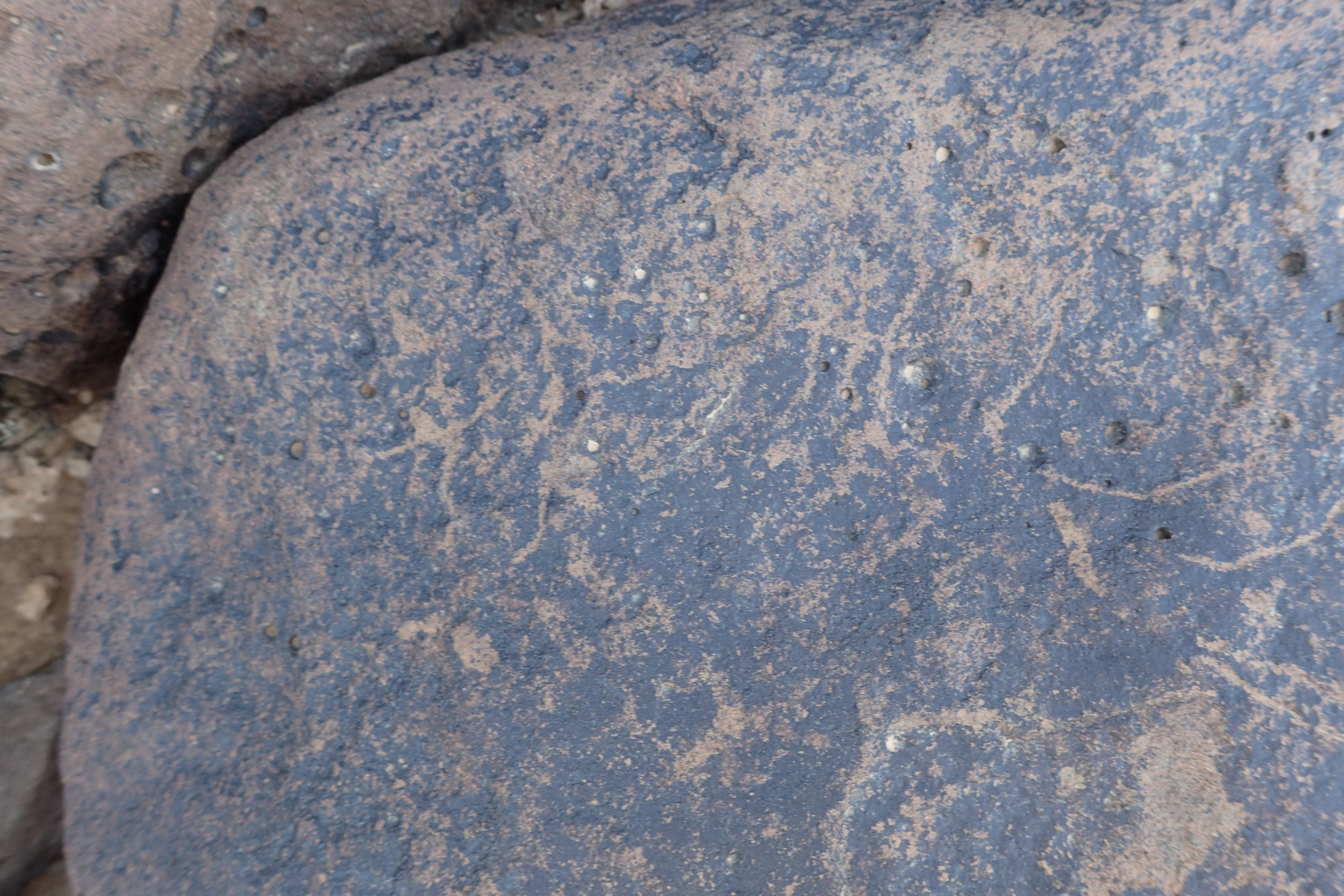 Image of siglum BES20 1347