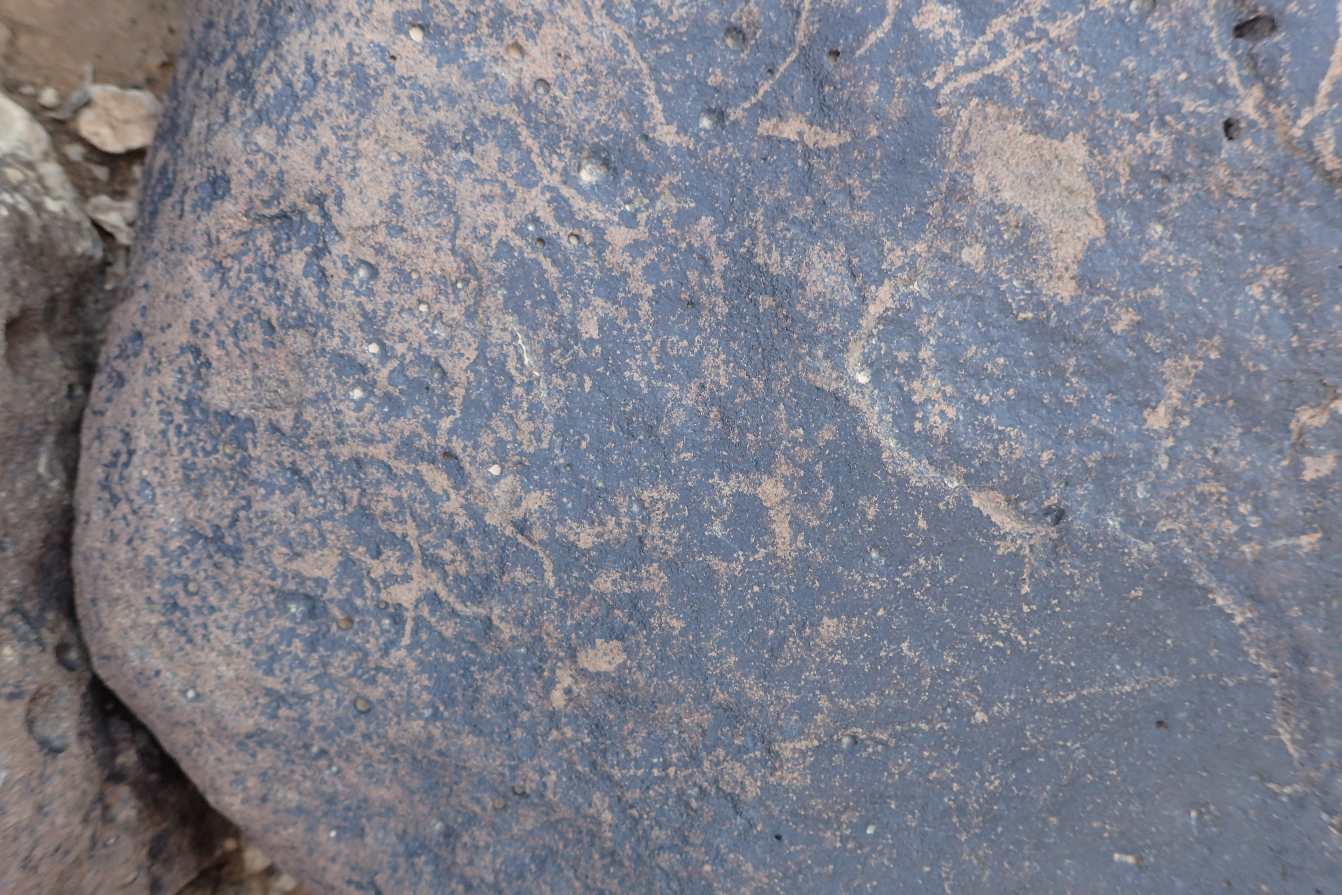 Image of siglum BES20 1347
