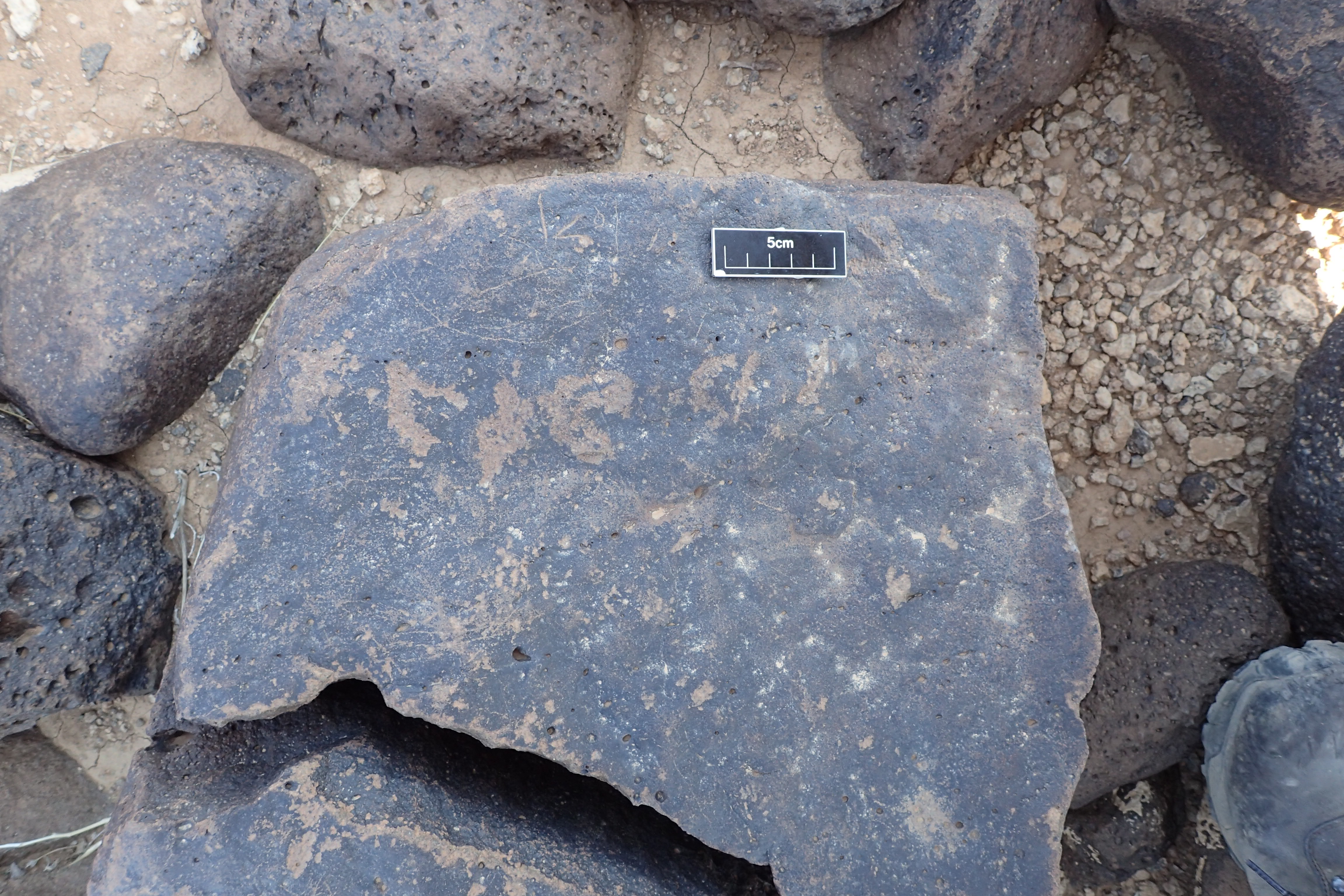 Image of siglum BES20 1348