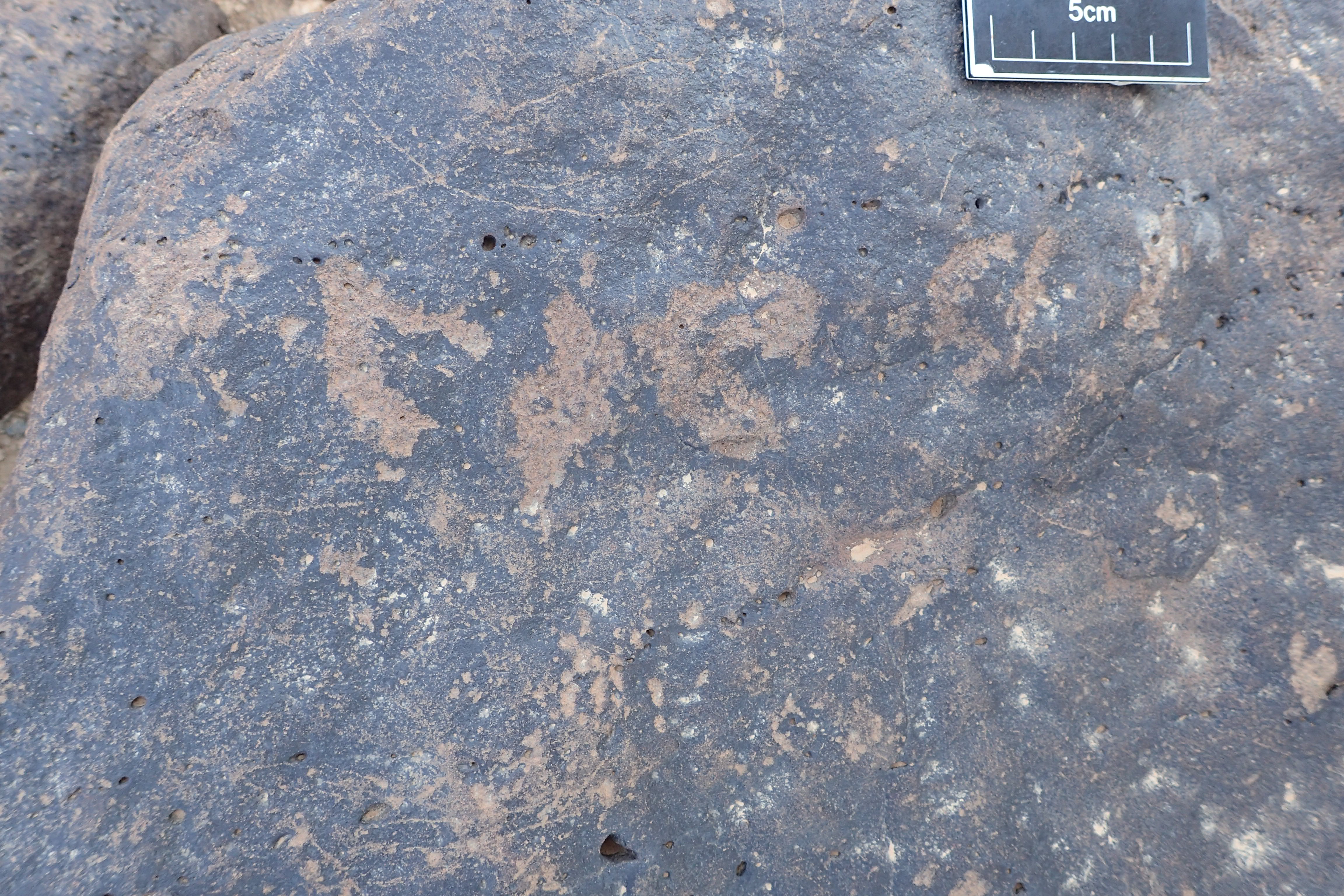 Image of siglum BES20 1348
