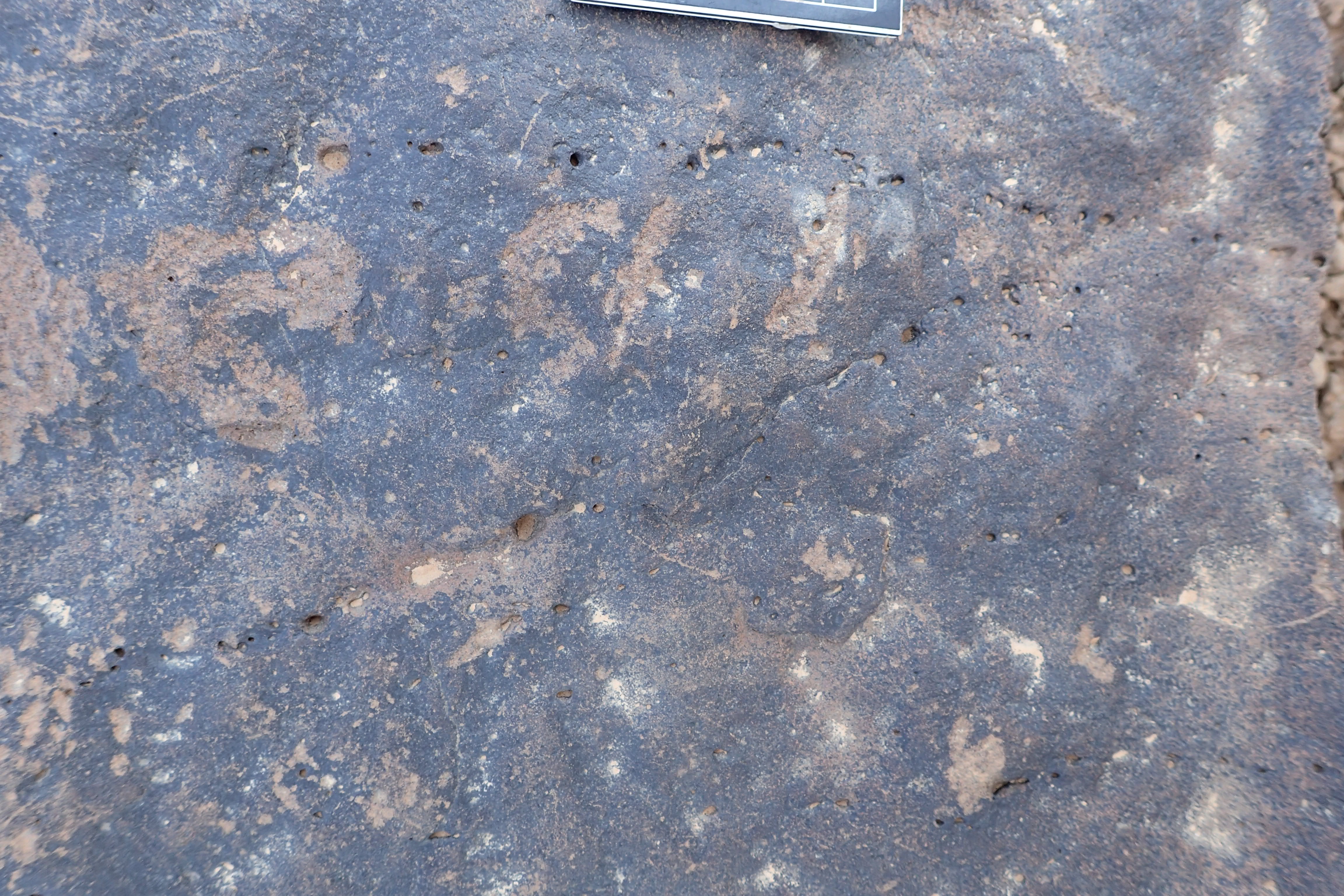 Image of siglum BES20 1348