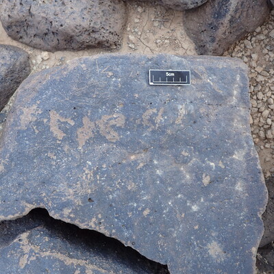 Image of siglum BES20 1348