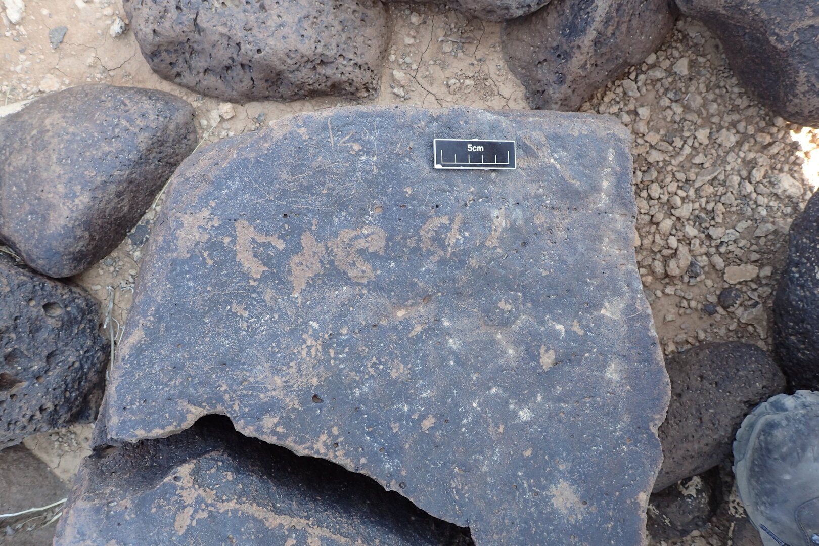 Image of siglum BES20 1348