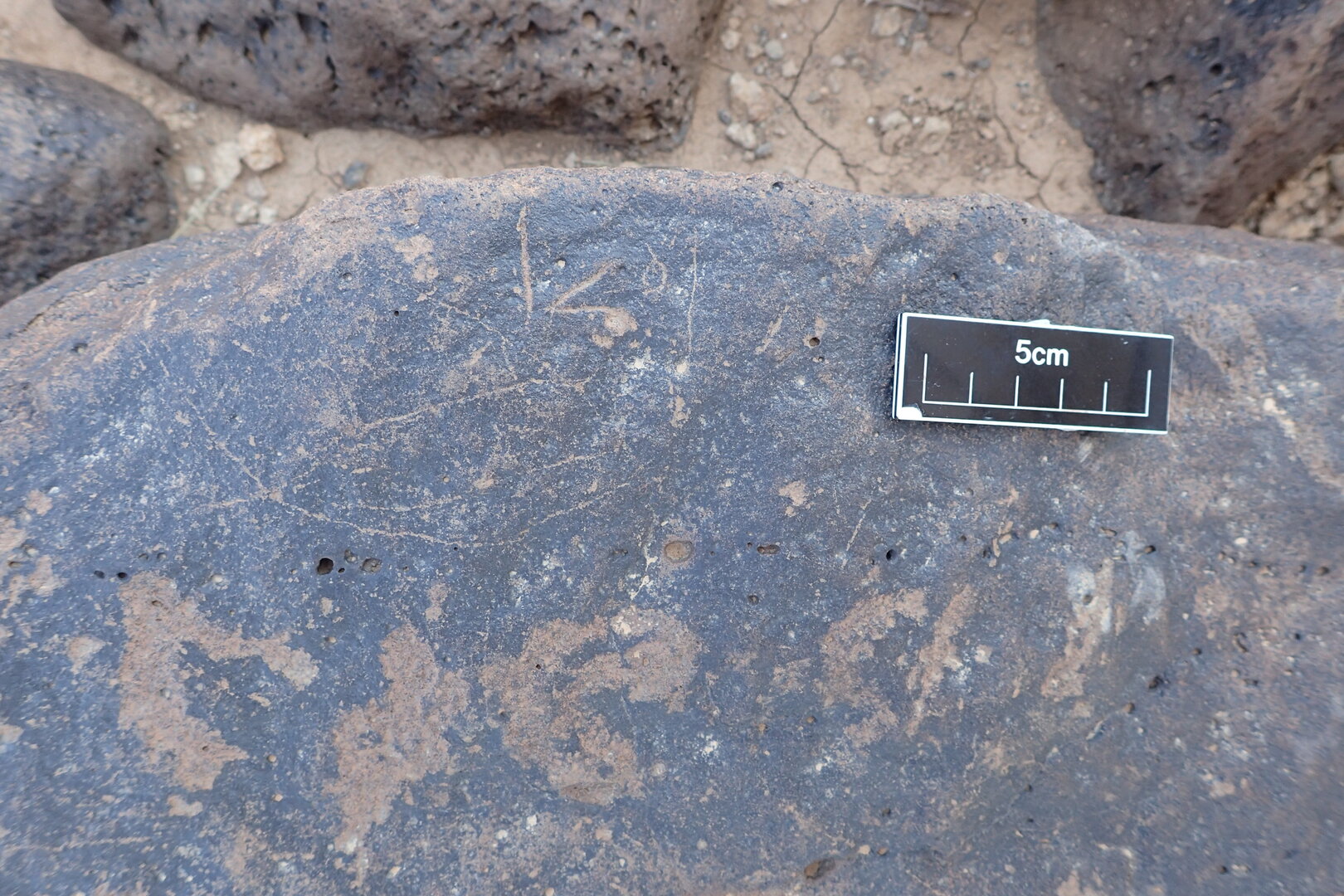 Image of siglum BES20 1348