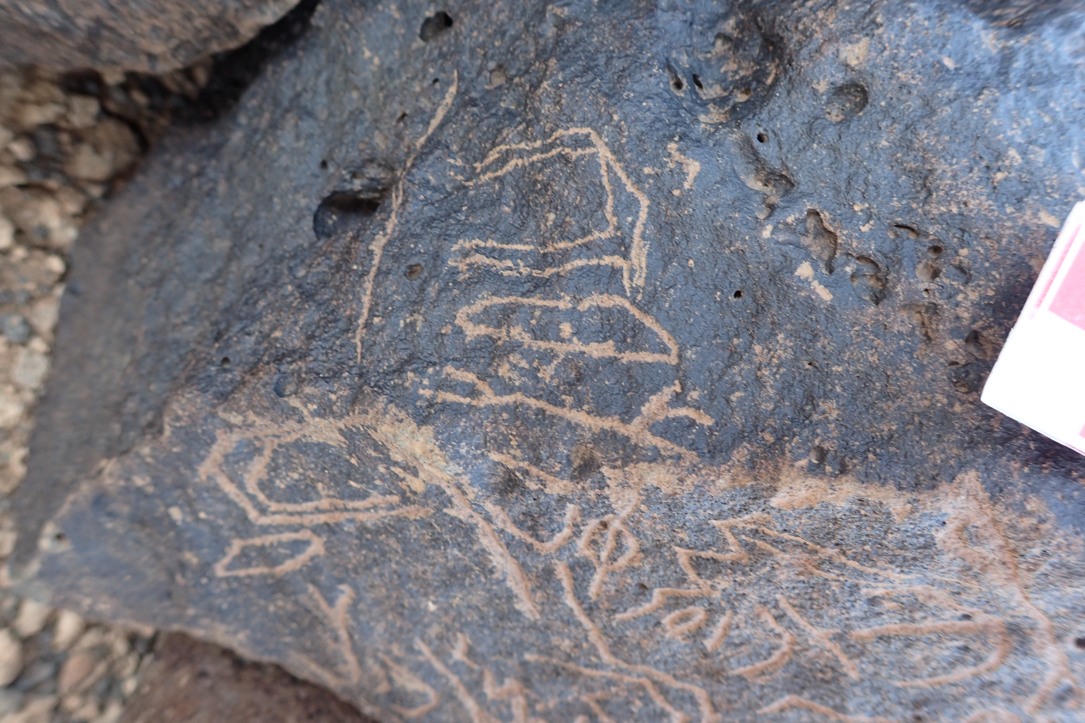 Image of siglum BES20 1349