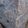 Image of siglum BES20 1349